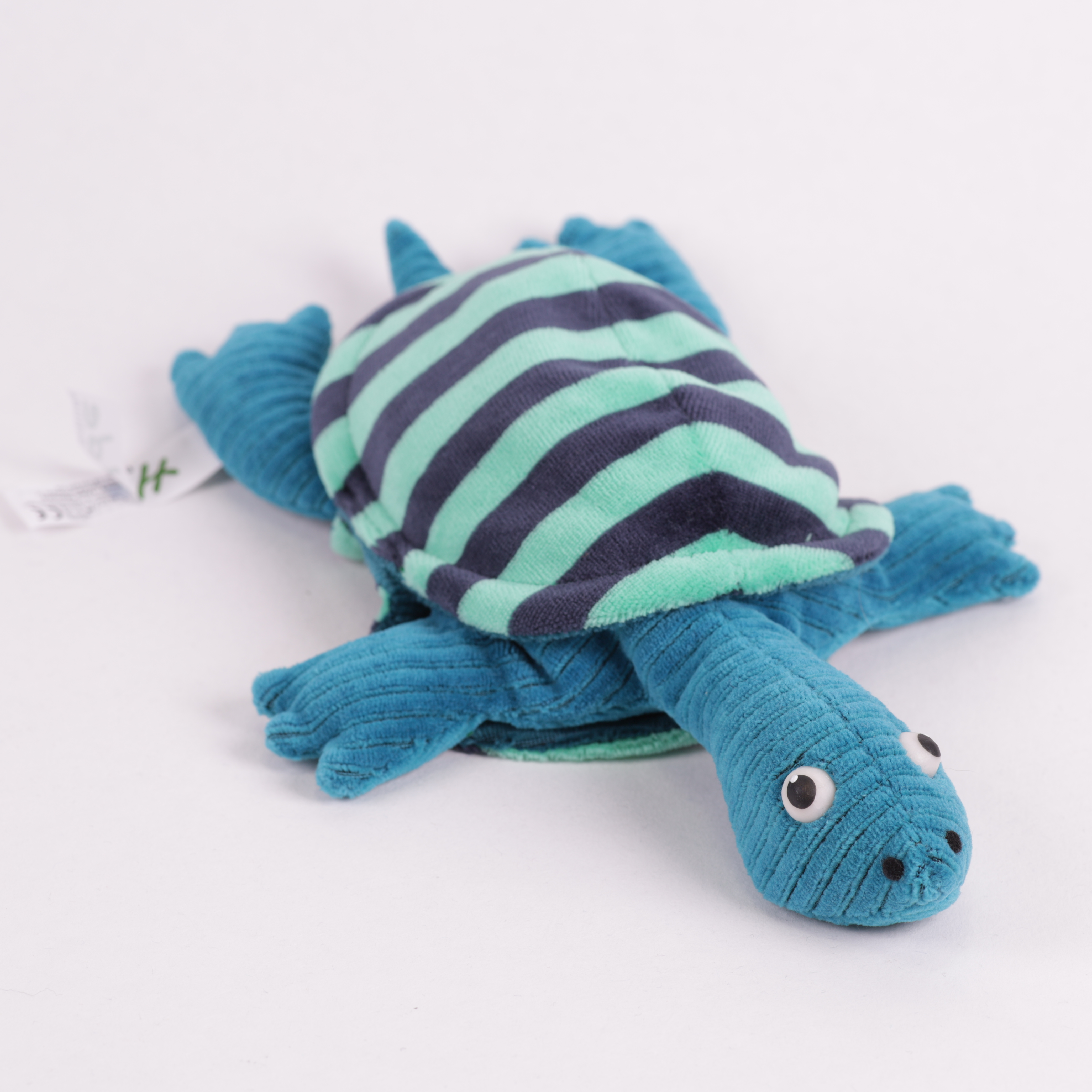 Schildkröte