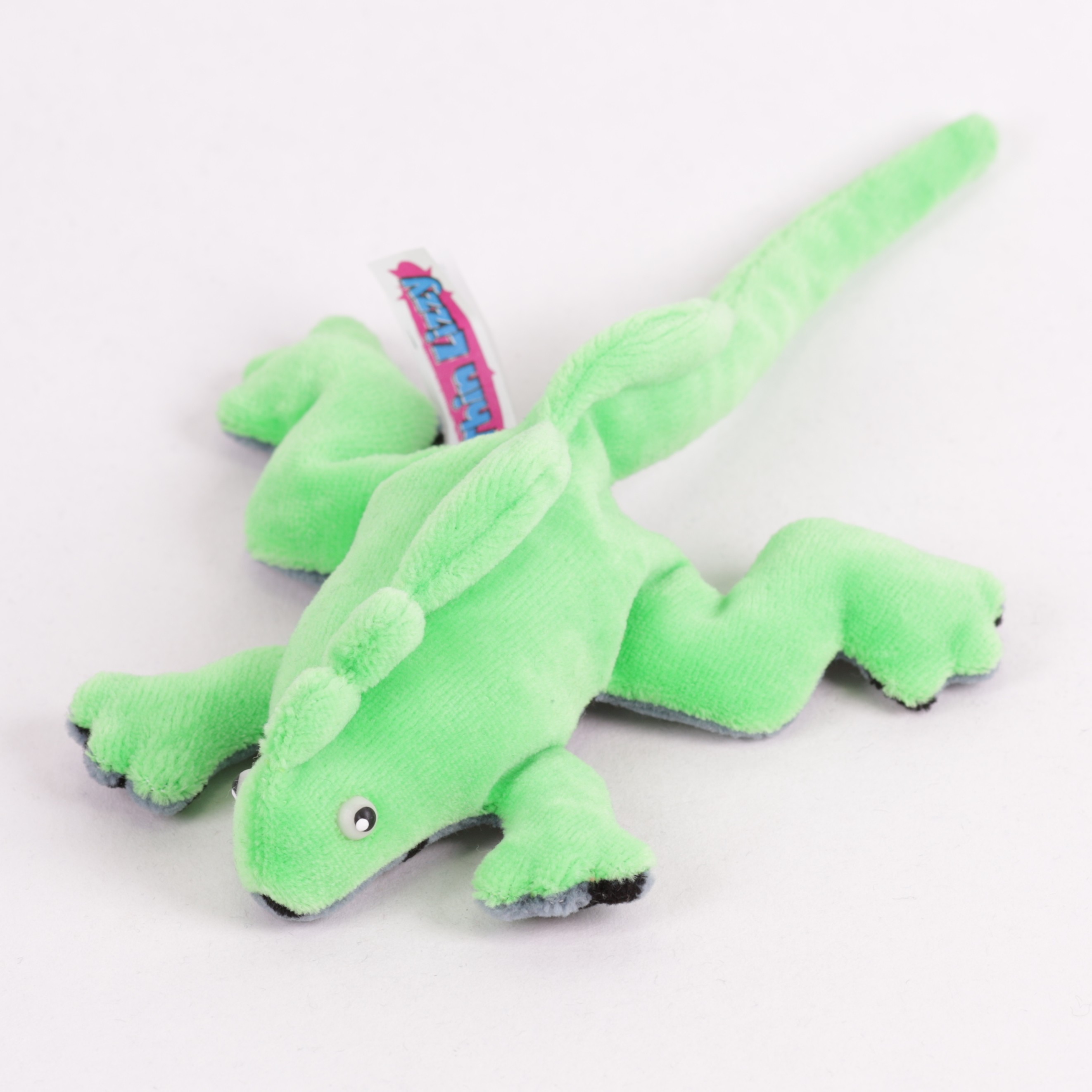 Leguan Baby