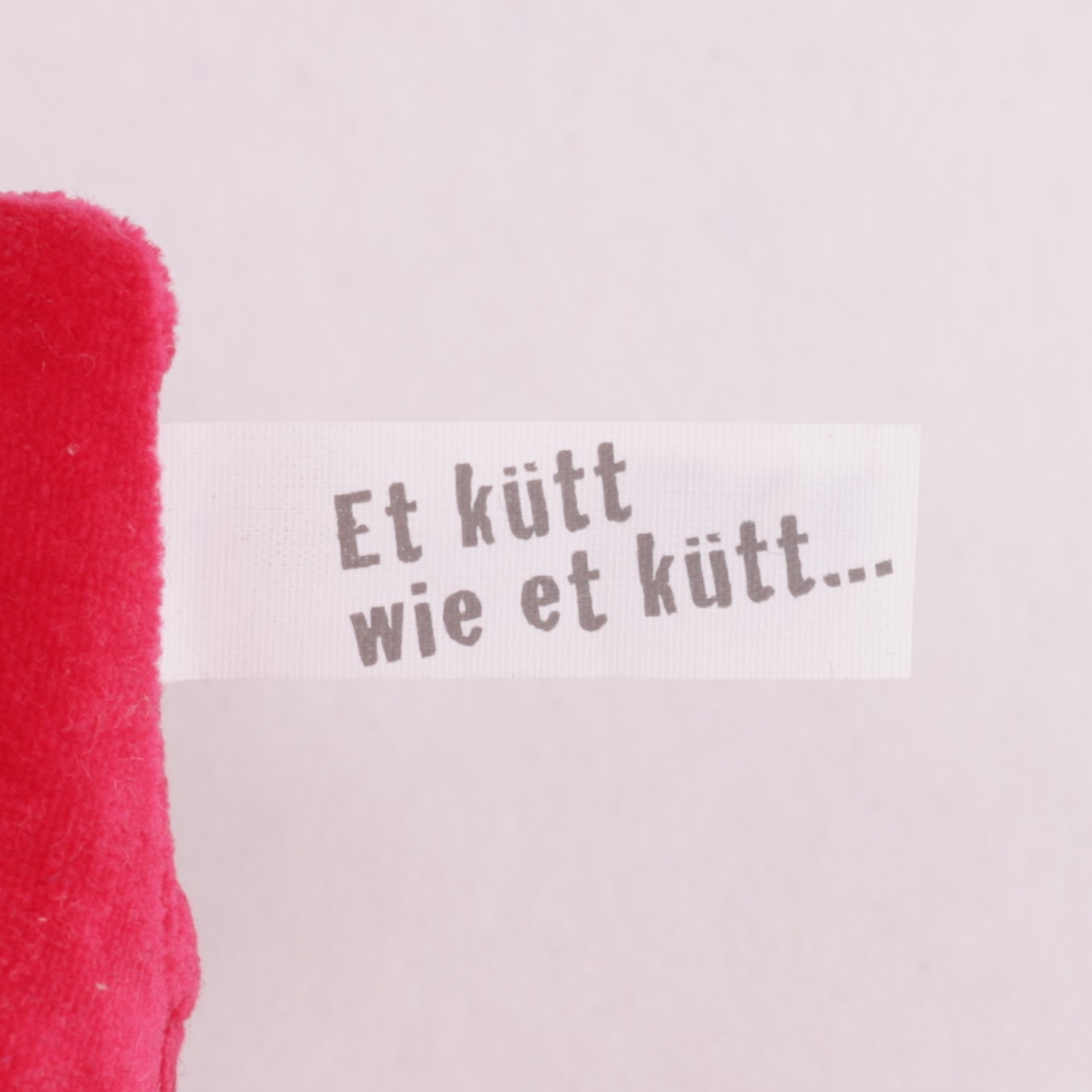 Ziege aus Köln