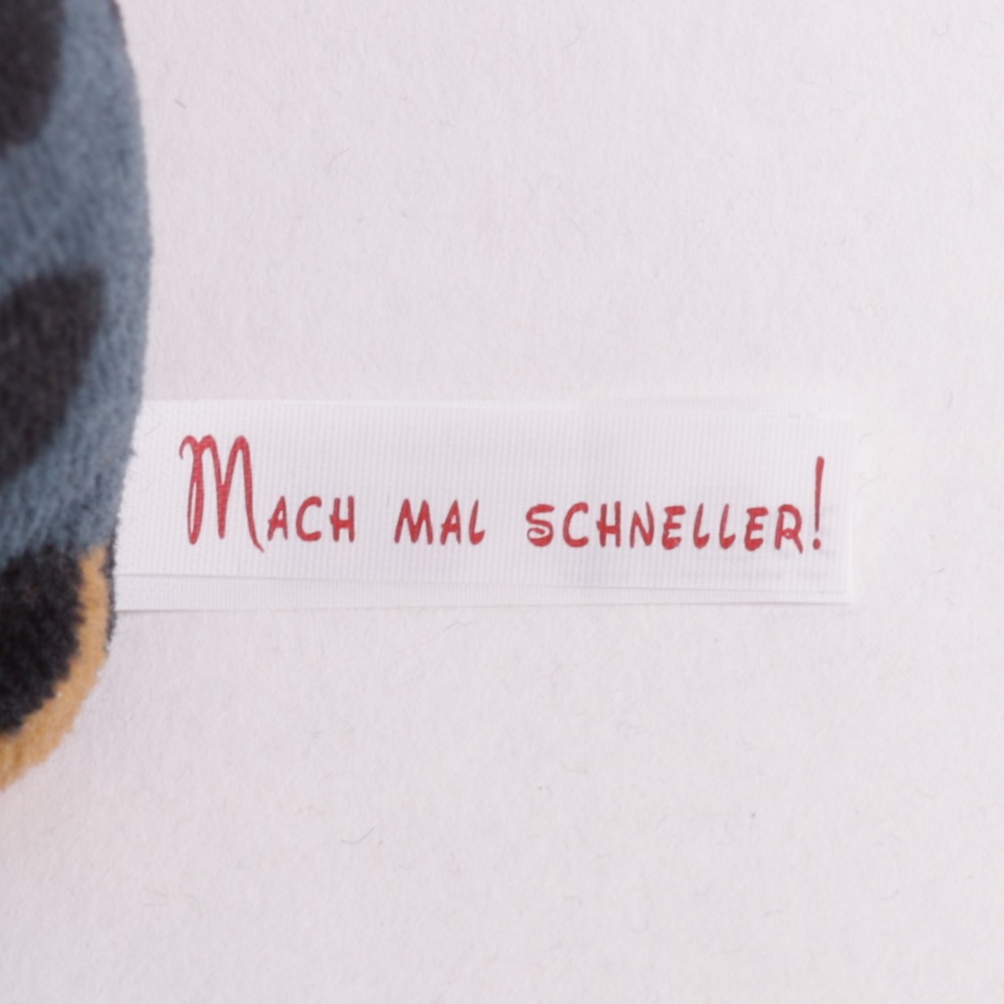 Schnecke