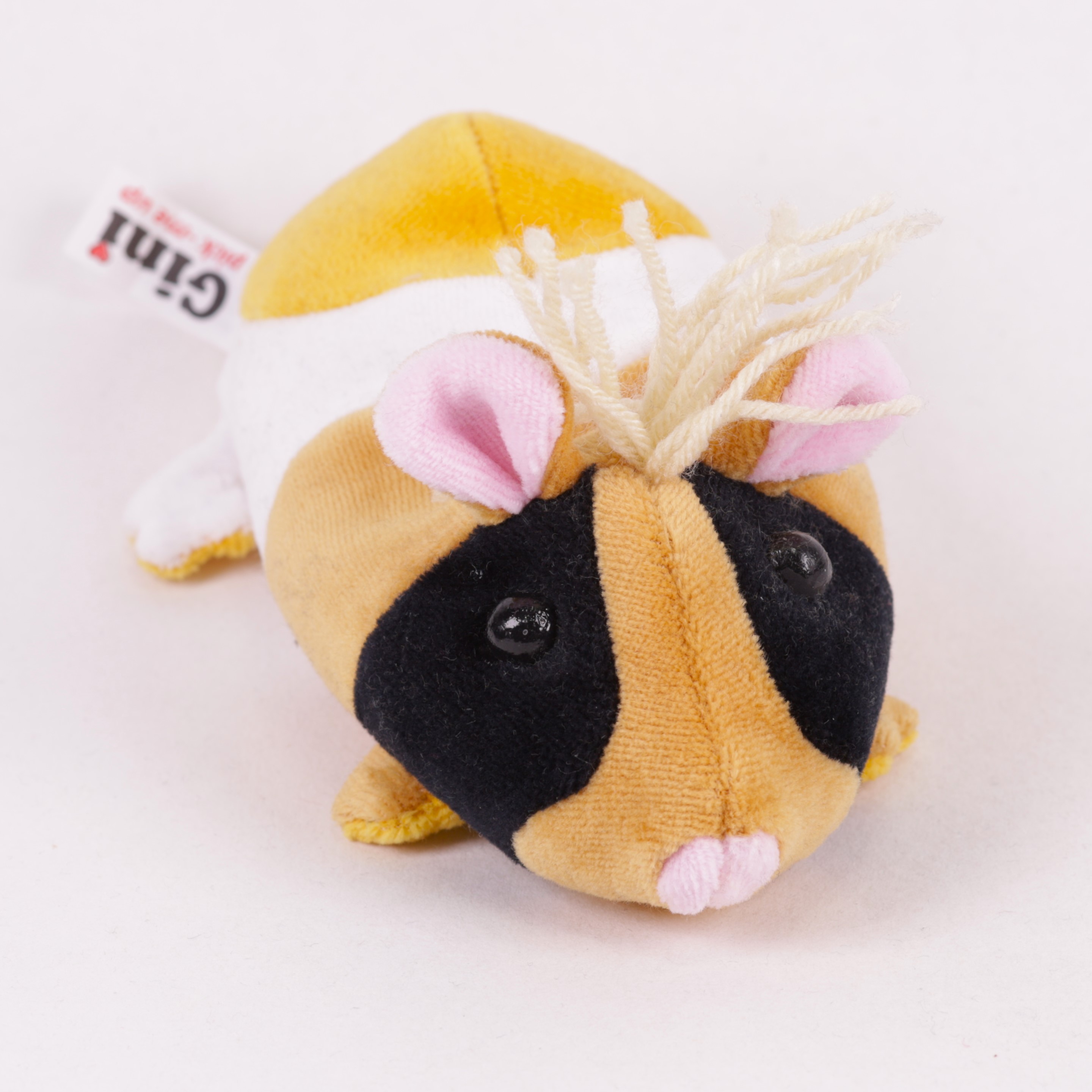 Meerschweinchen