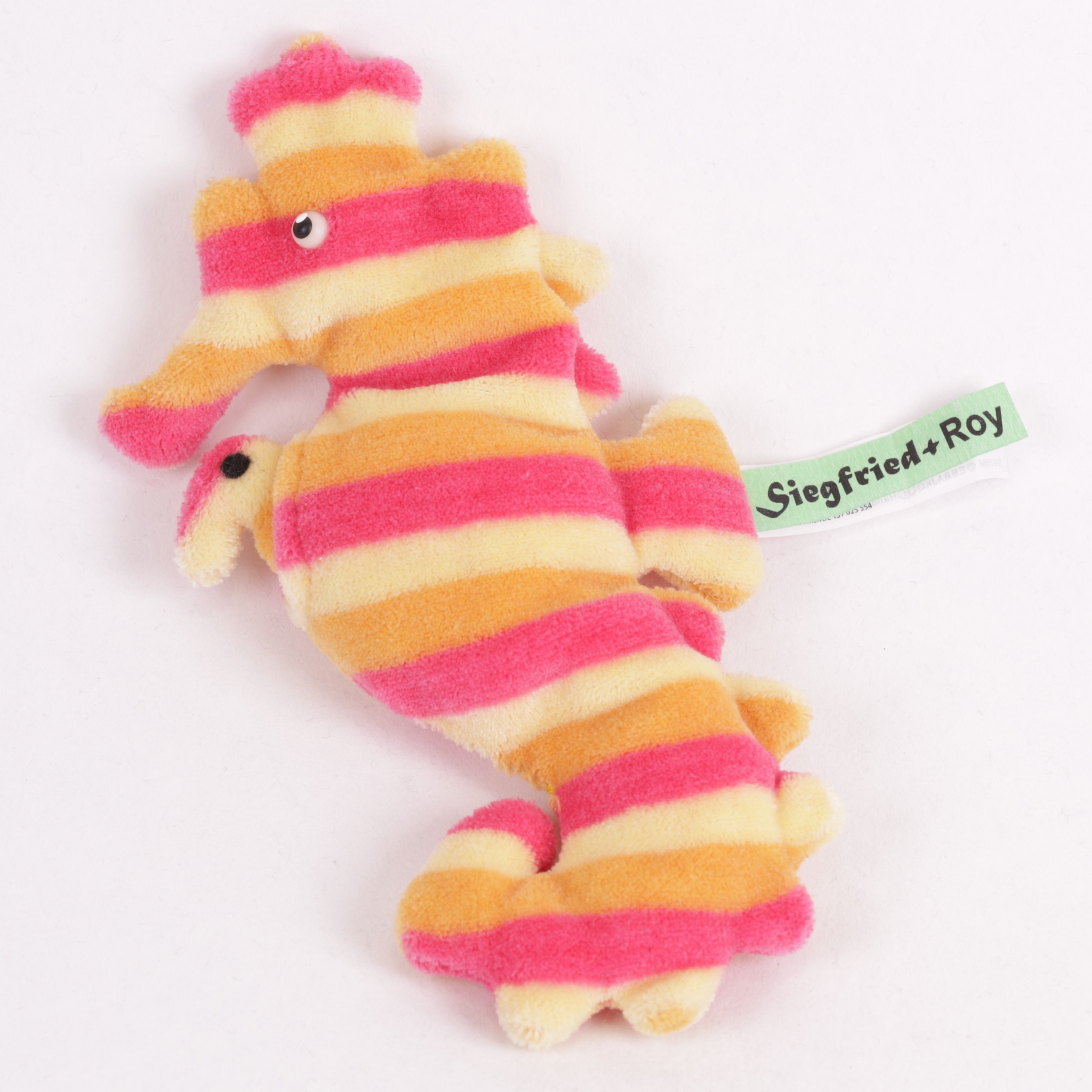 Seepferdchen Papa mit Kind