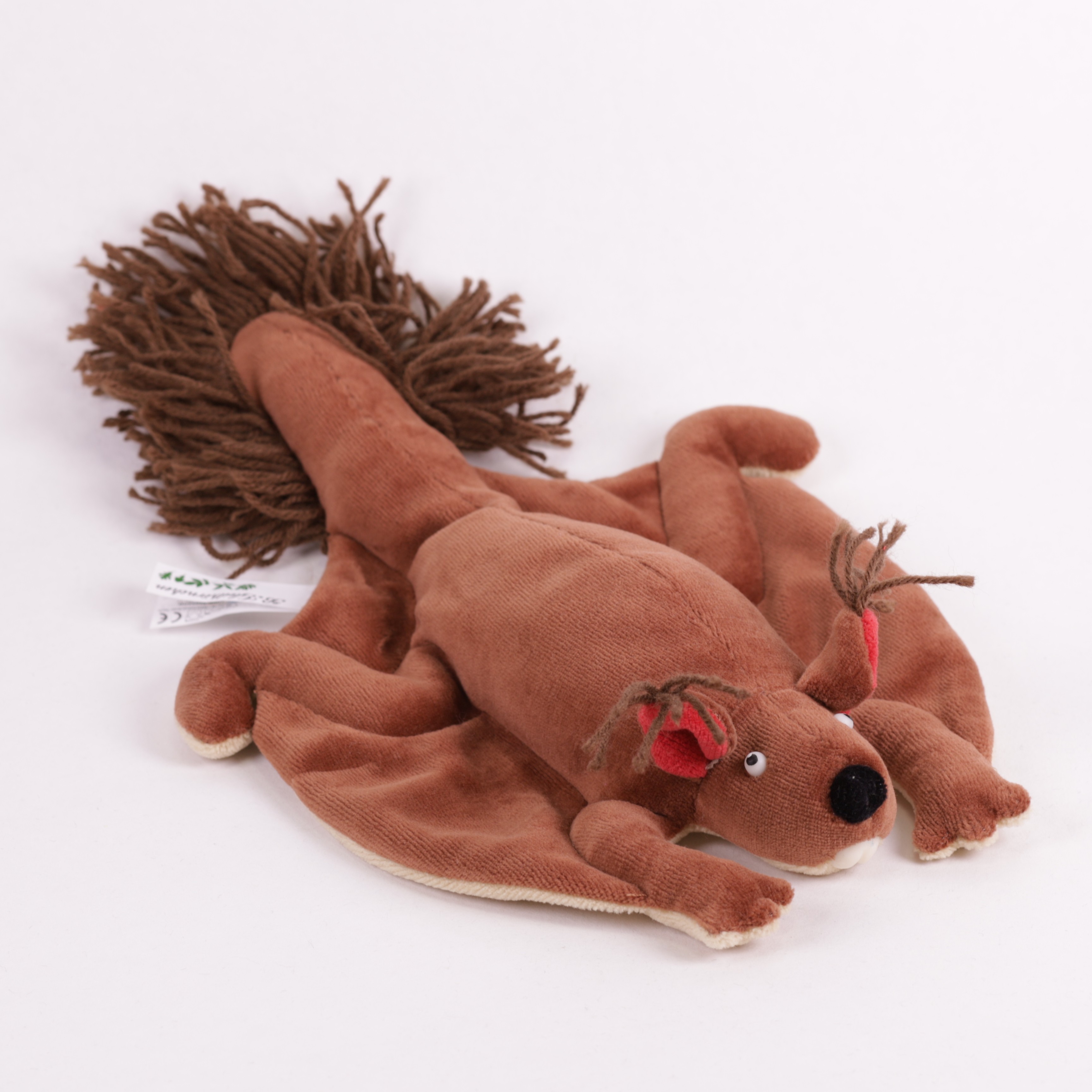 Gleithörnchen
