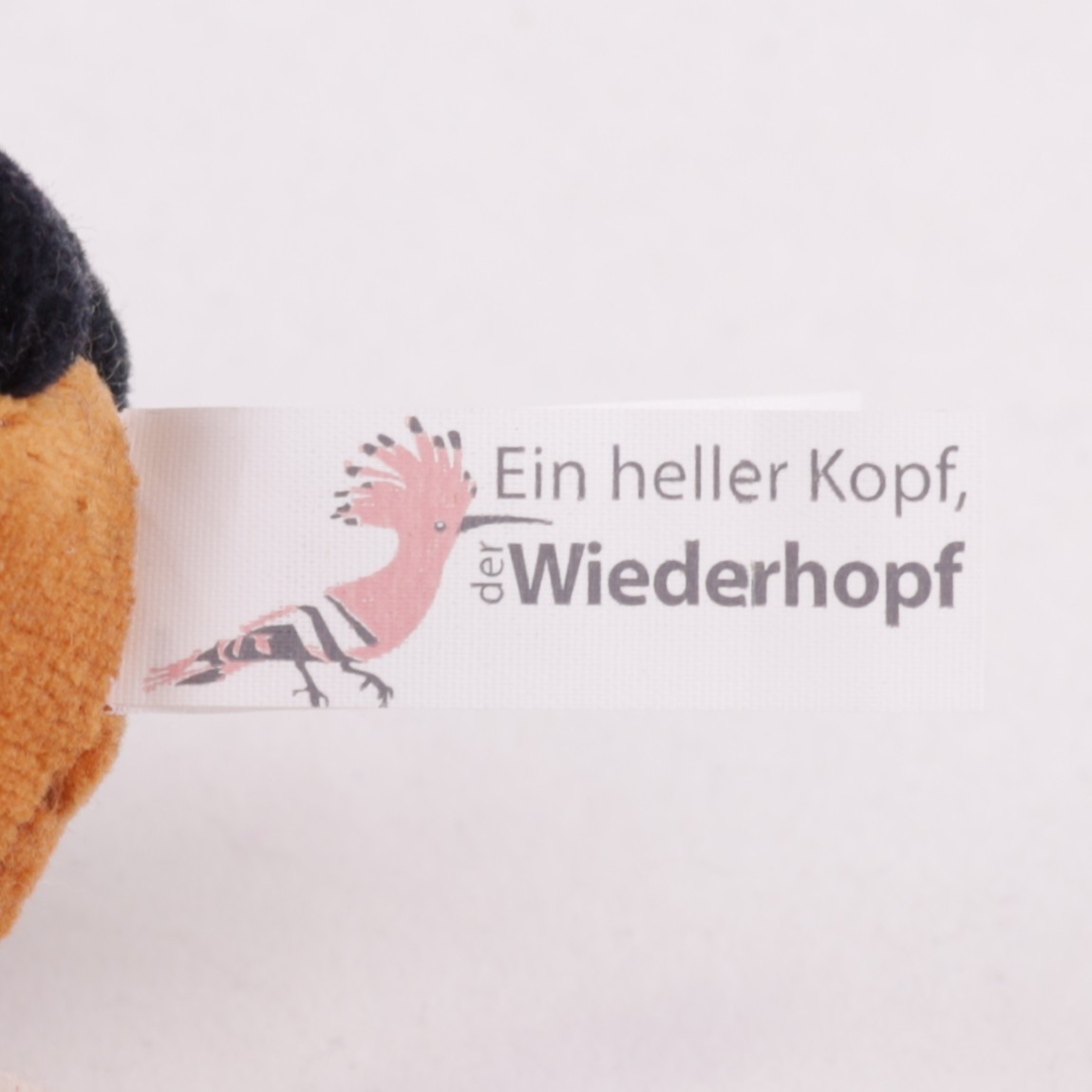 Wiedehopf