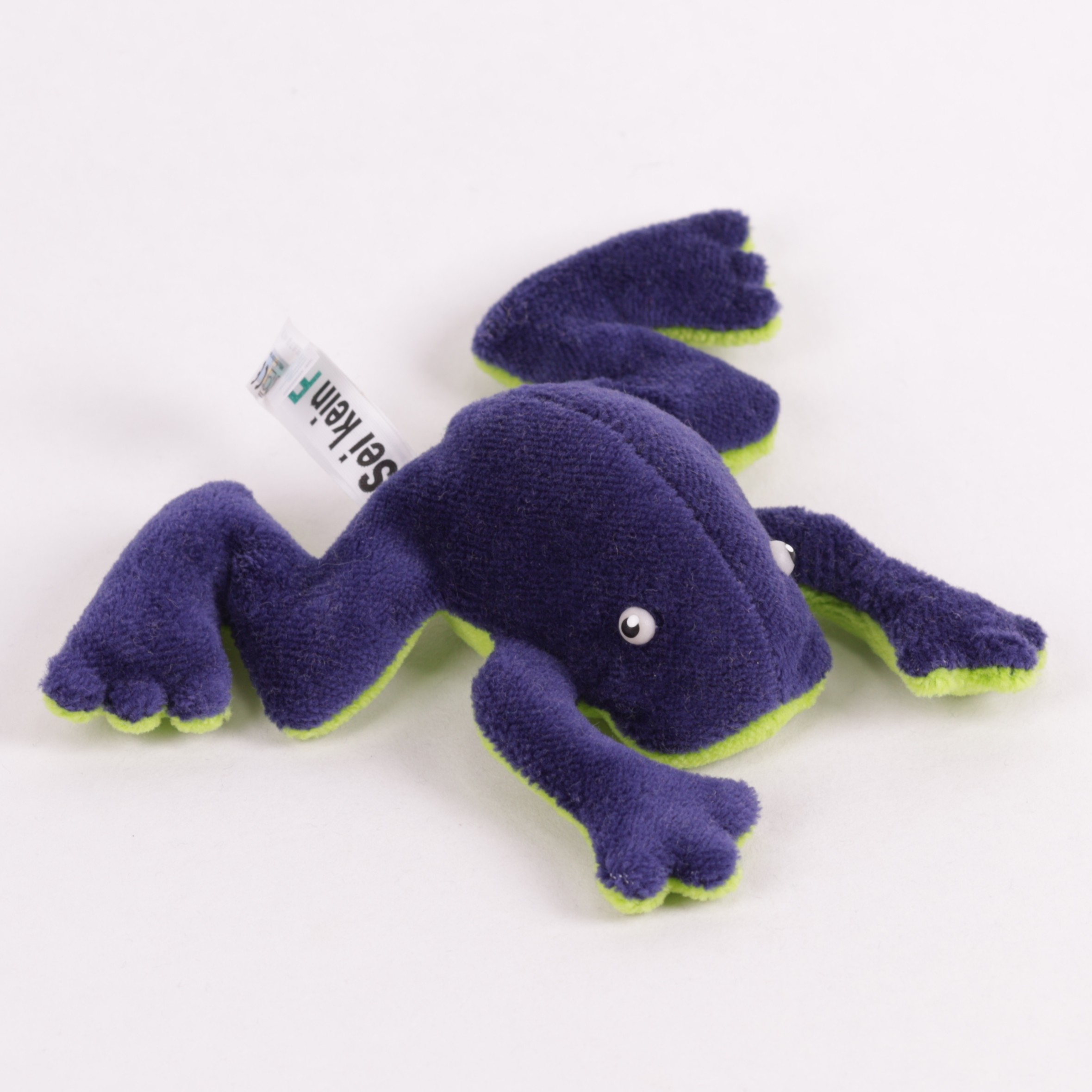 Frosch Jungtier