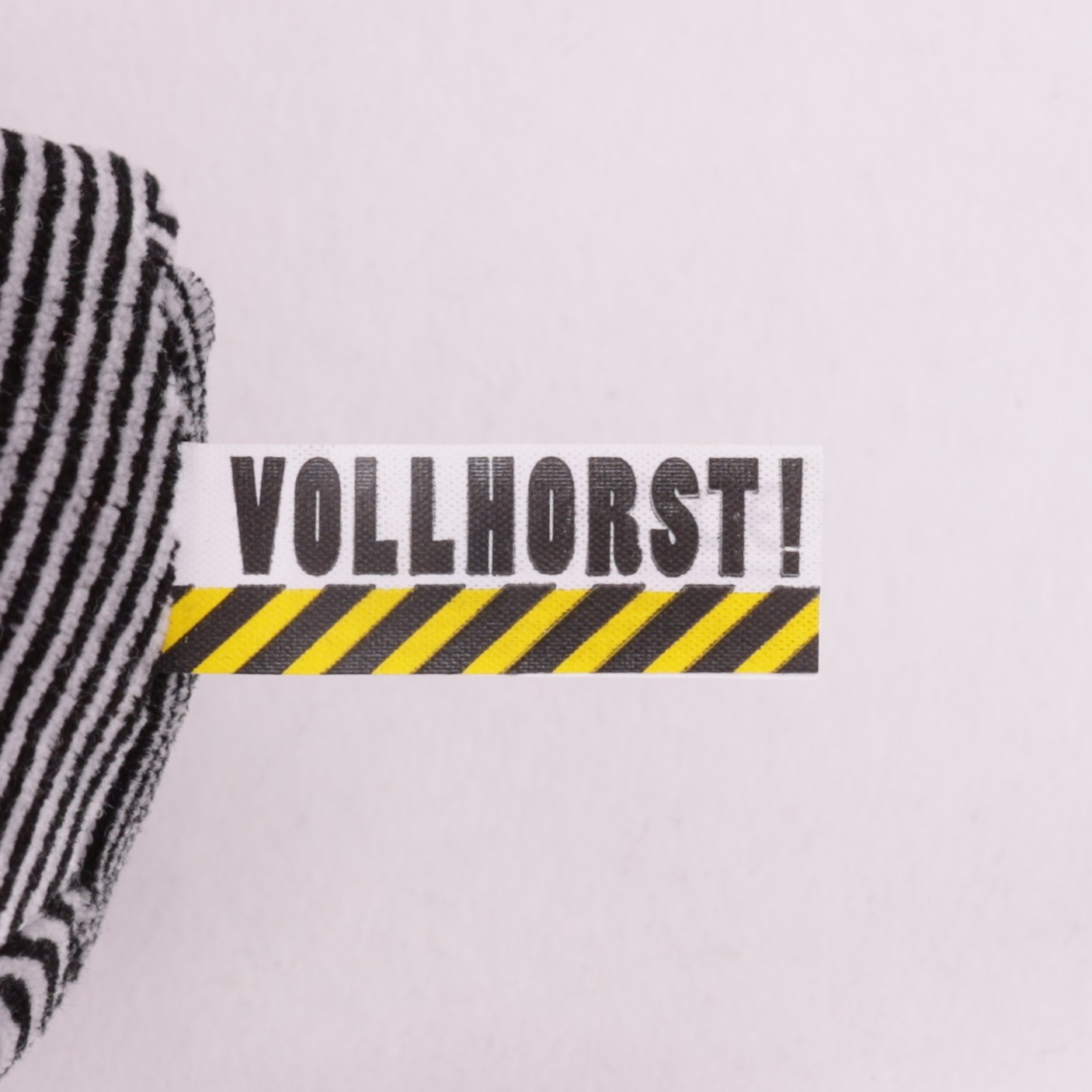 Waschbär Vollhorst