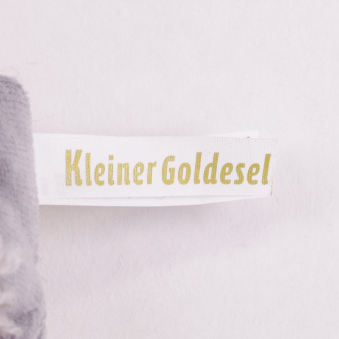 Esel Jungtier - Der Goldesel