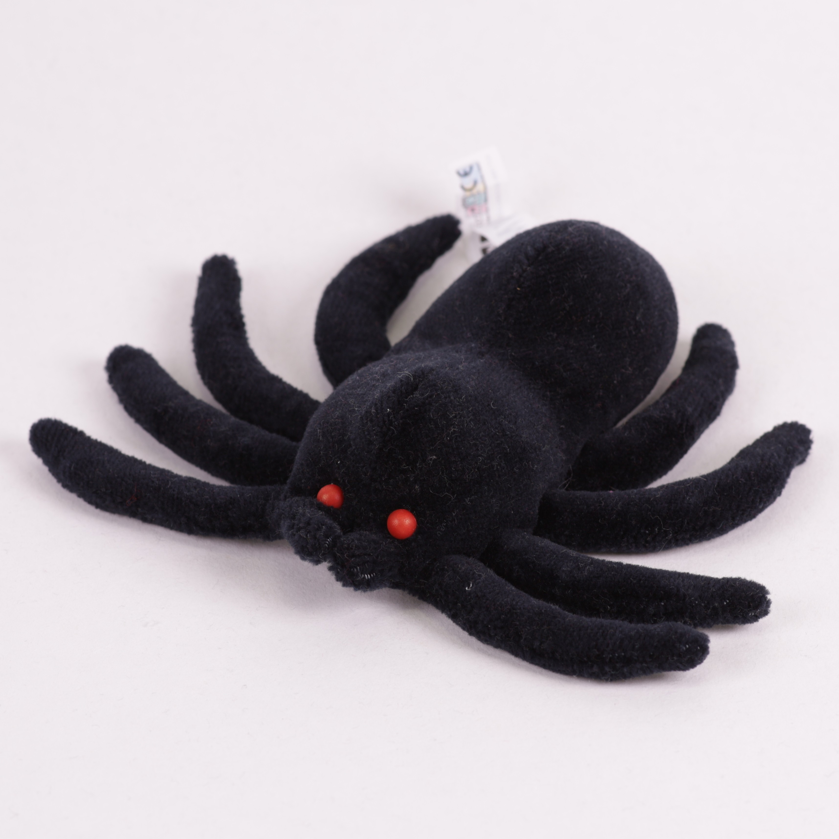 Spinne