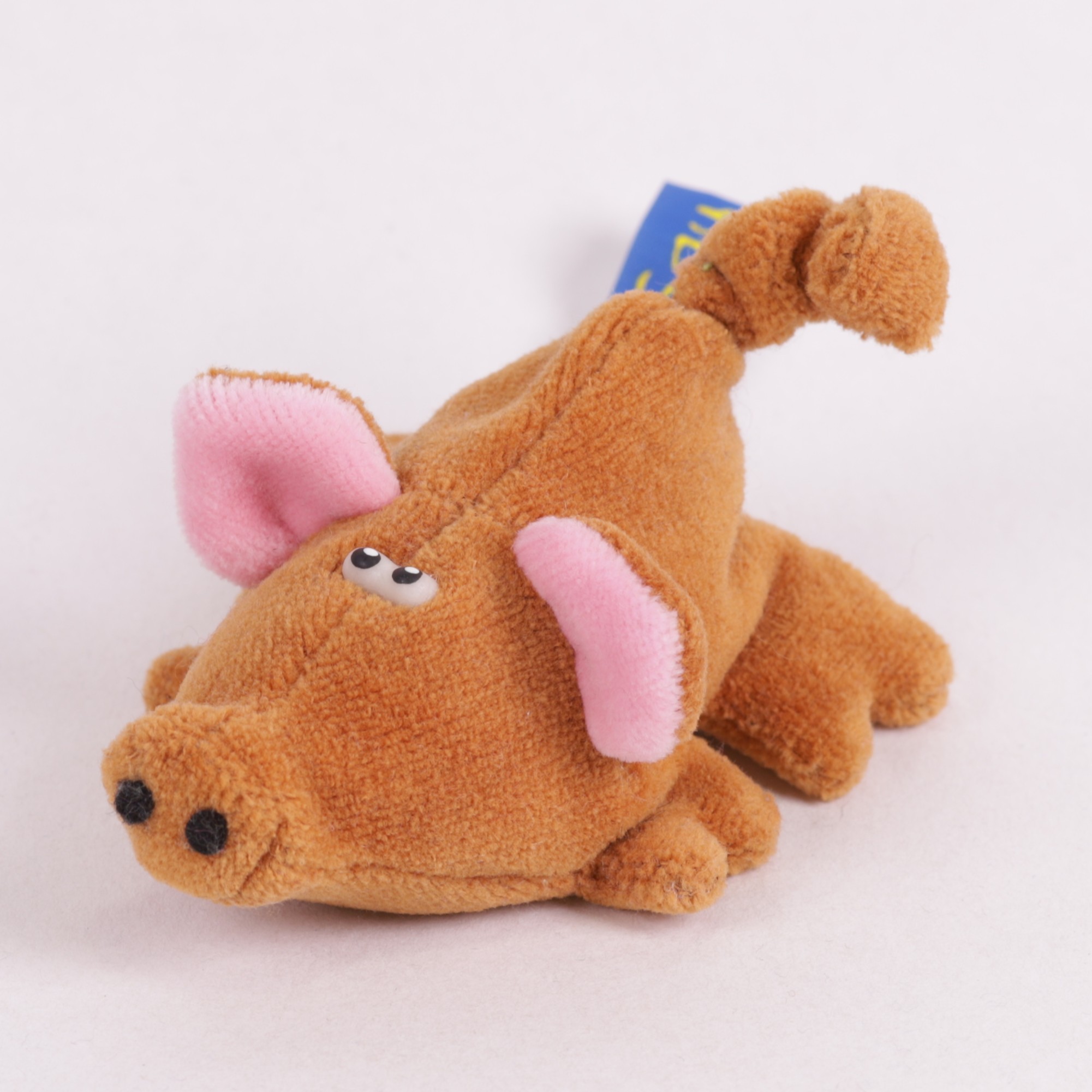Schwein mini