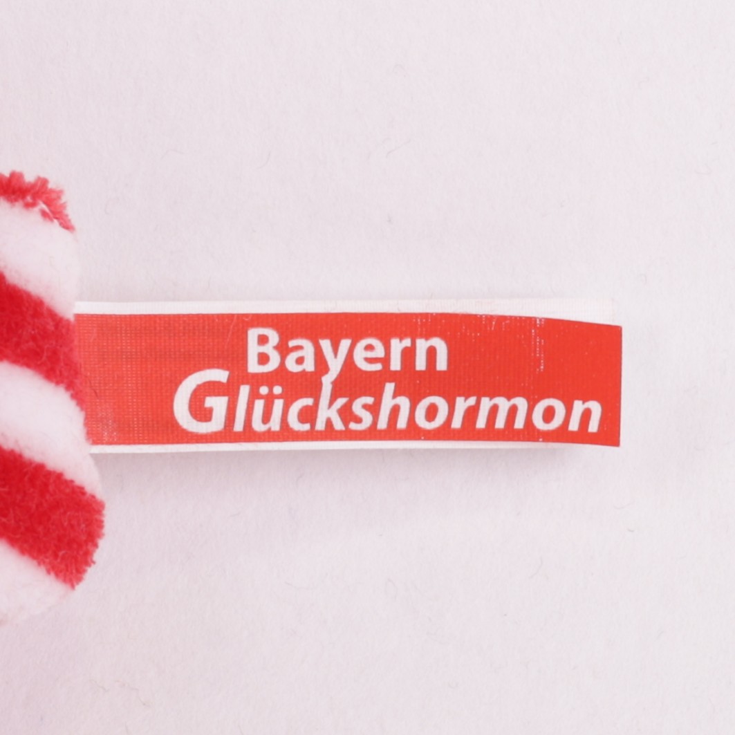 Glückshormon Deine Stadt, dein Verein