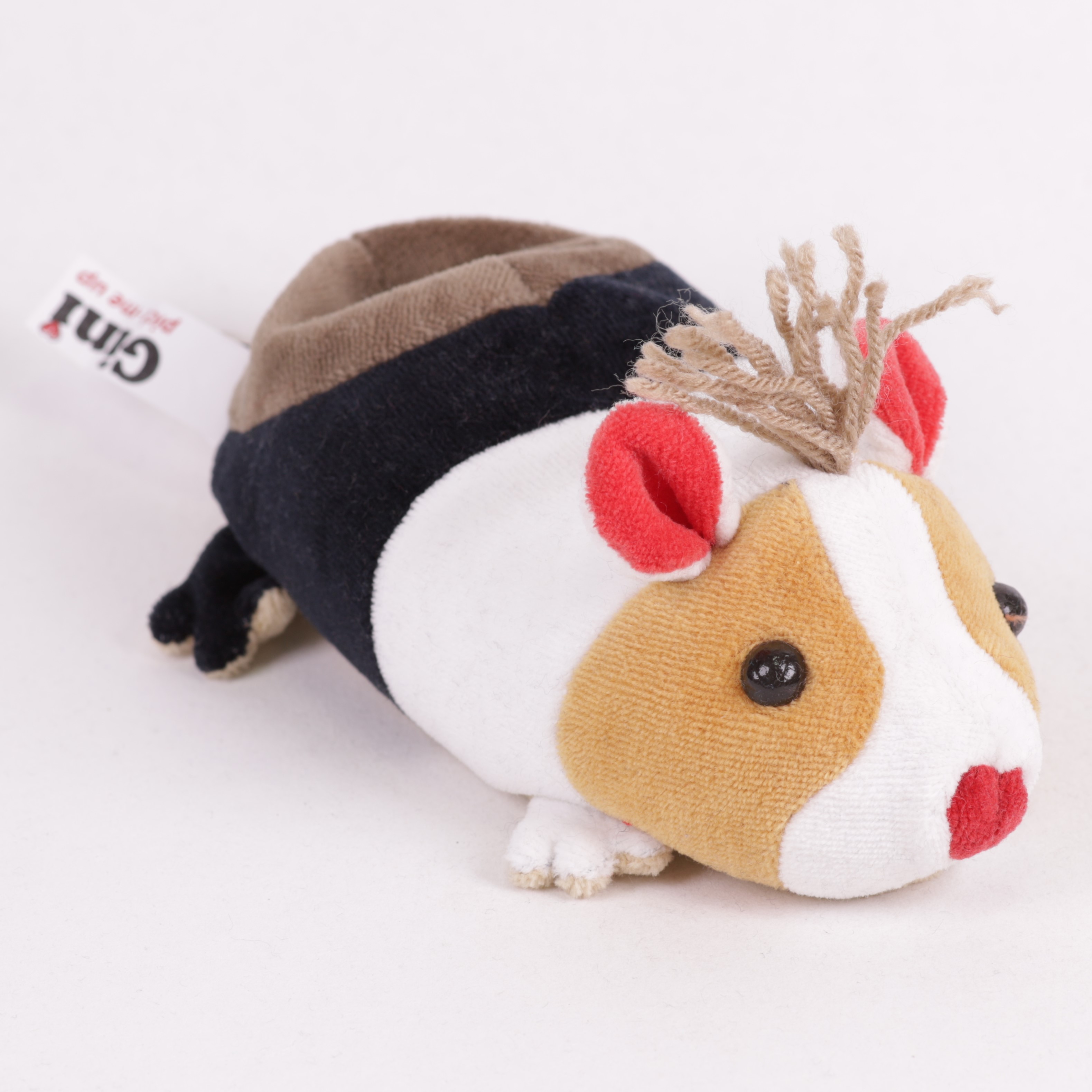 Meerschweinchen