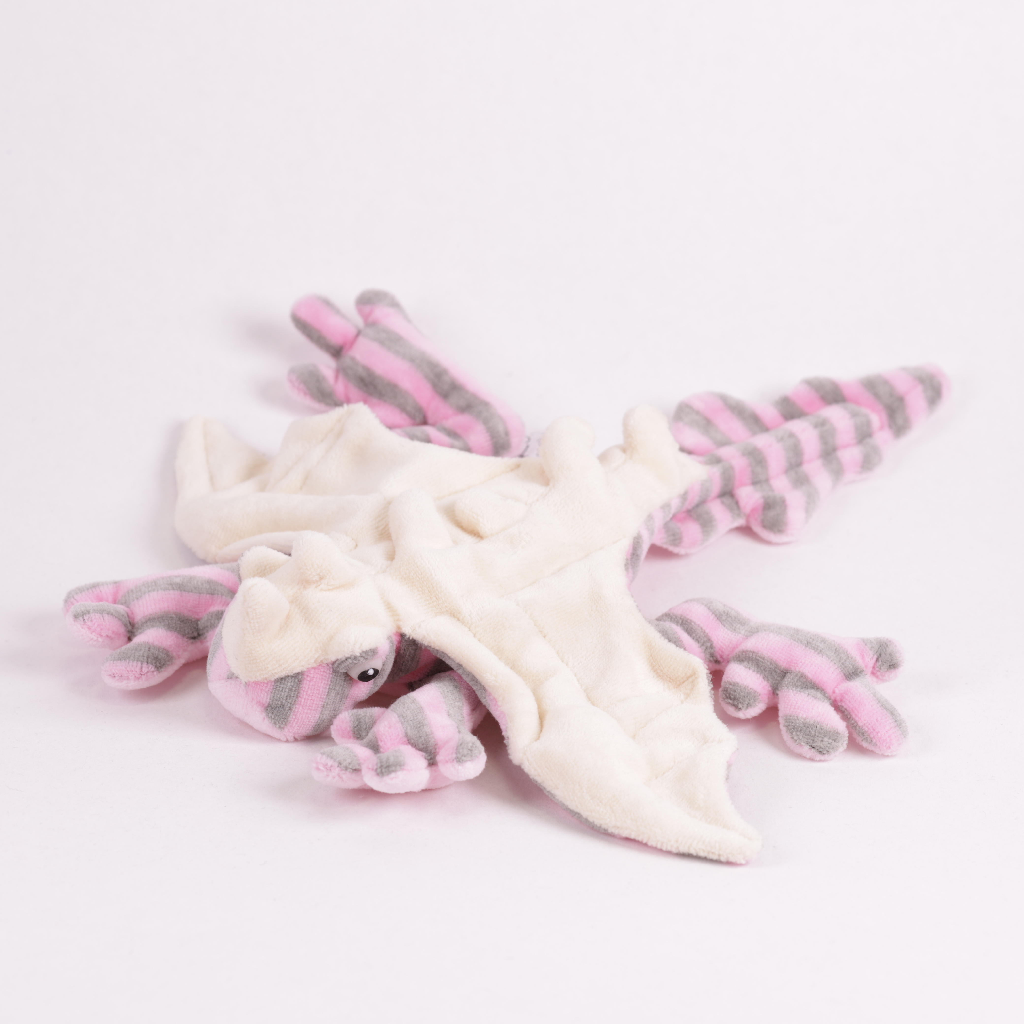 Drachengecko