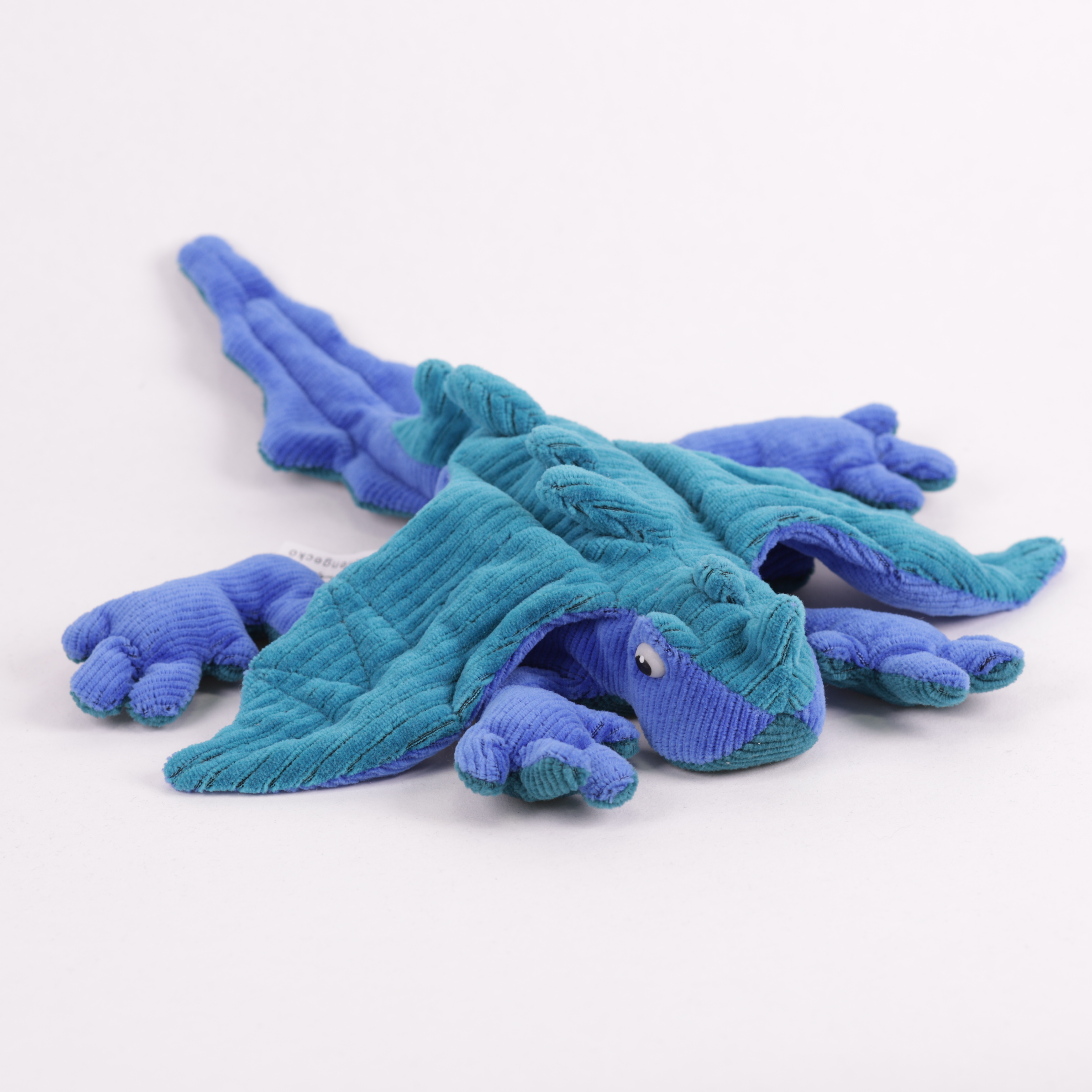 Drachengecko