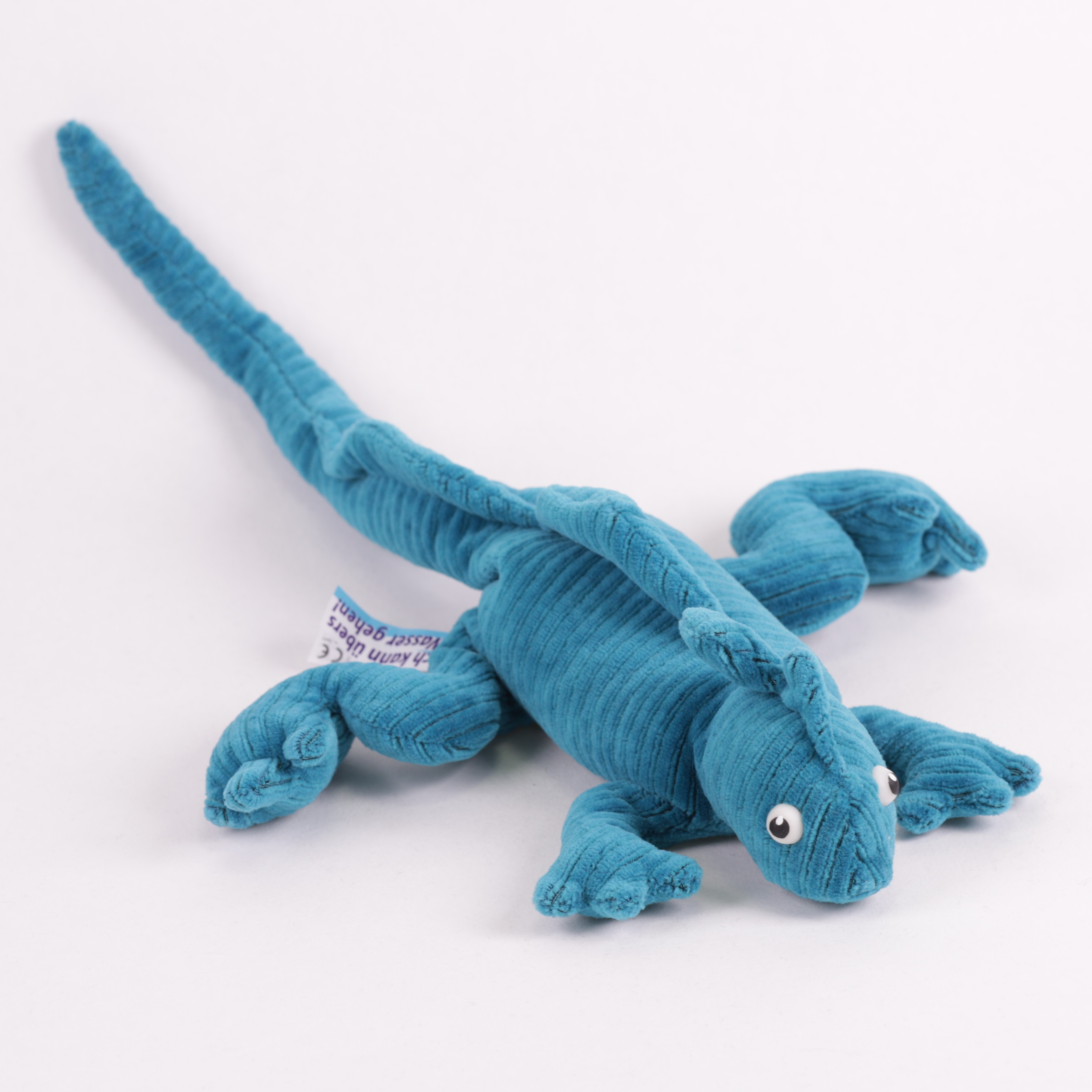 Leguan Jungtier