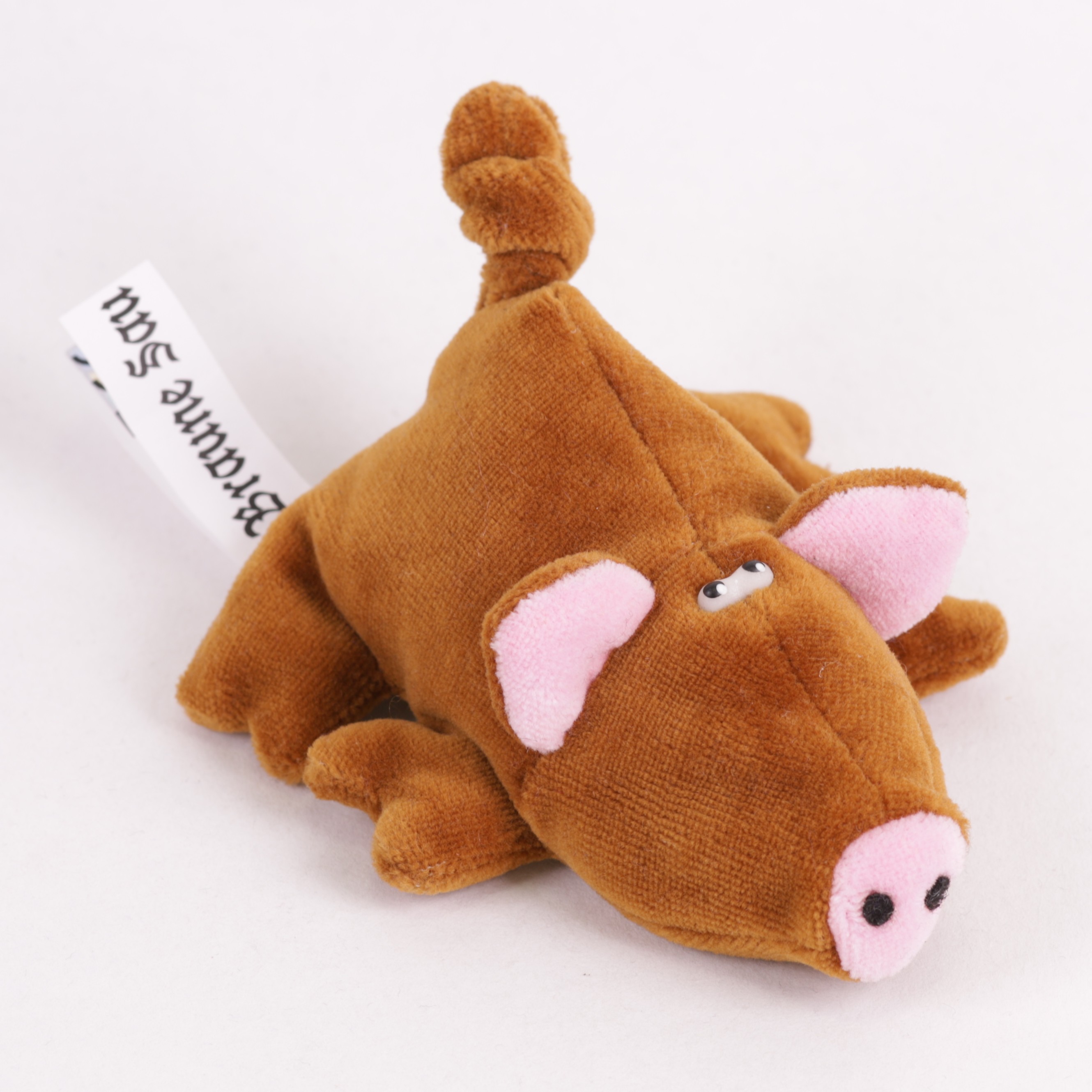 Schwein Jungtier