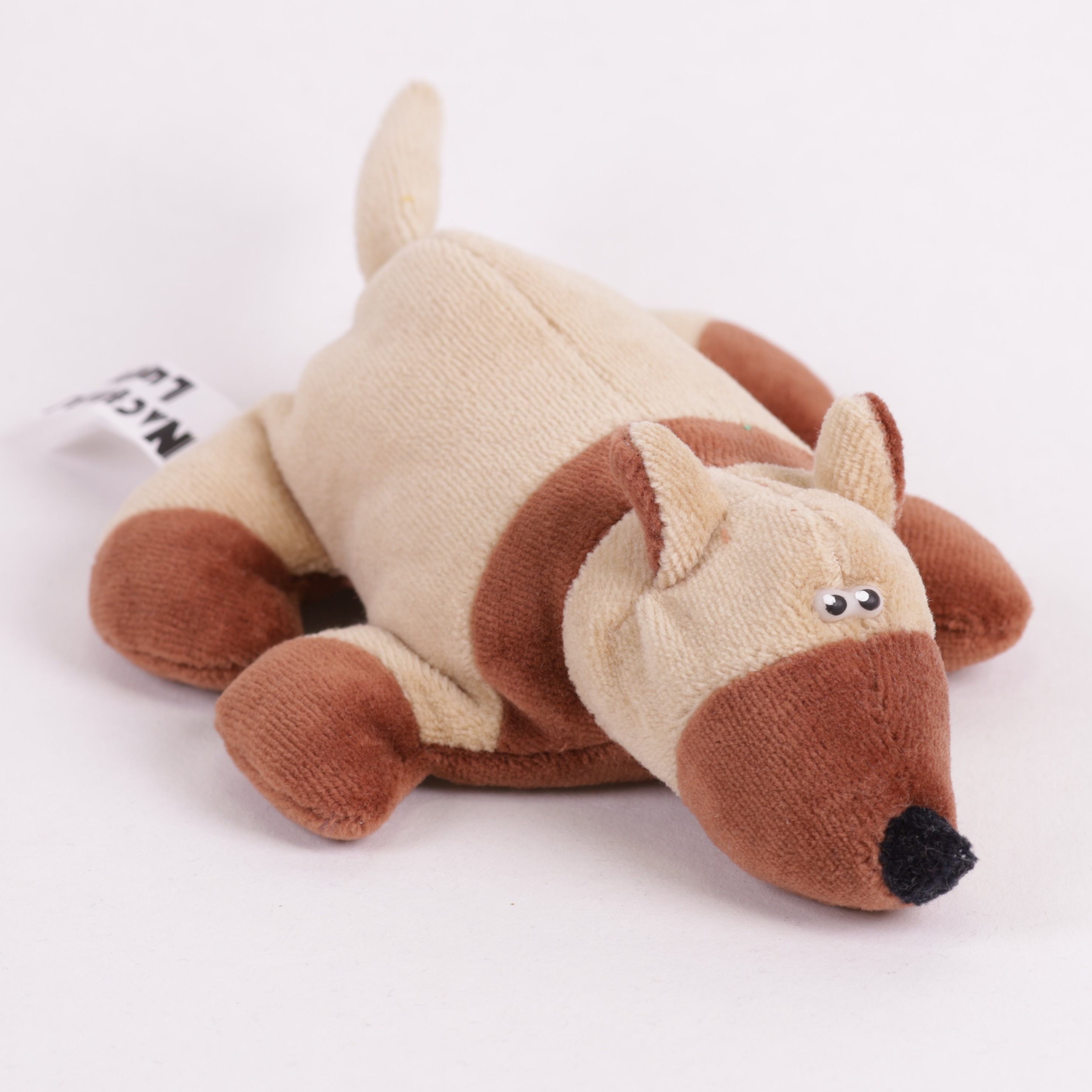 Bullterrier