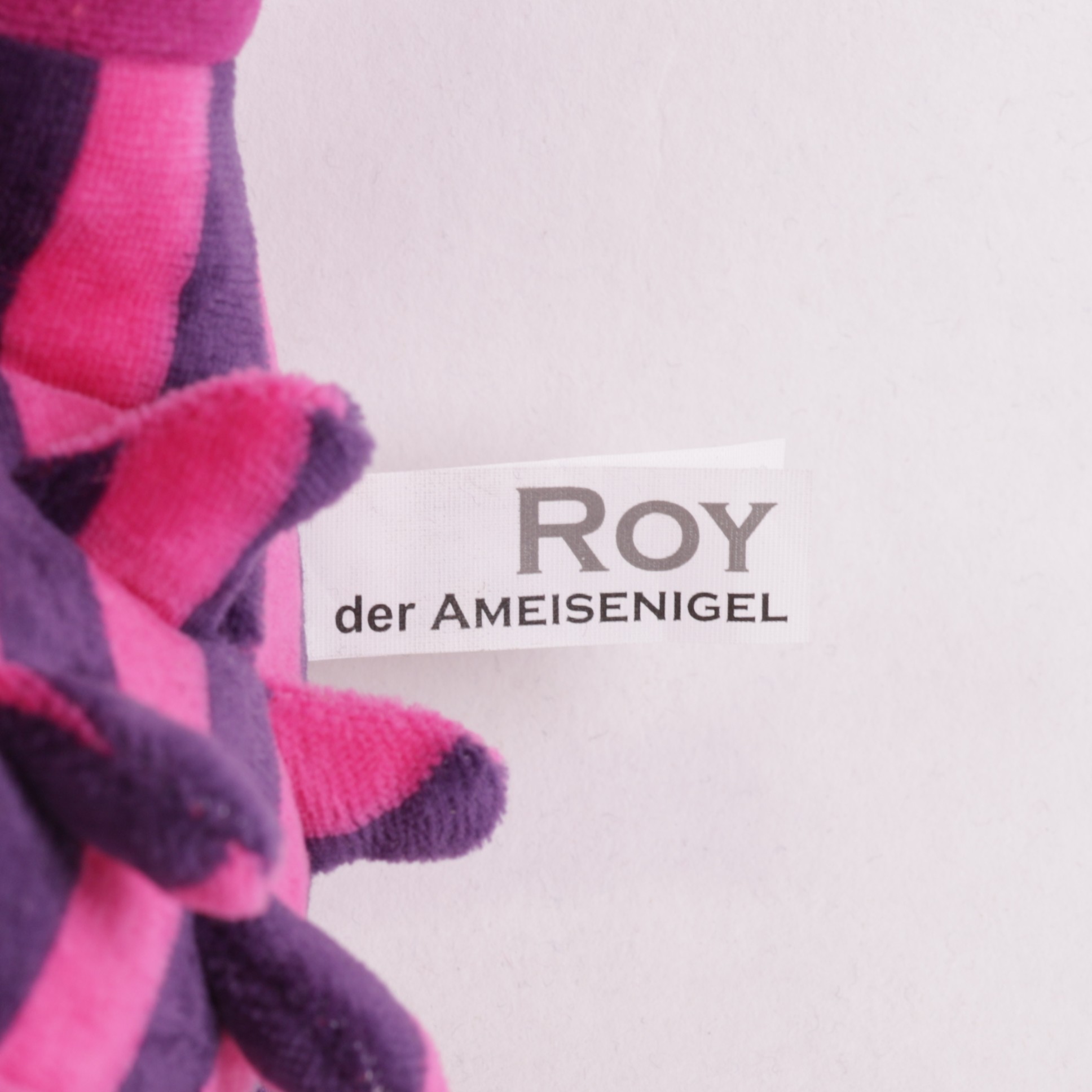 Ameisenigel oder Echitna