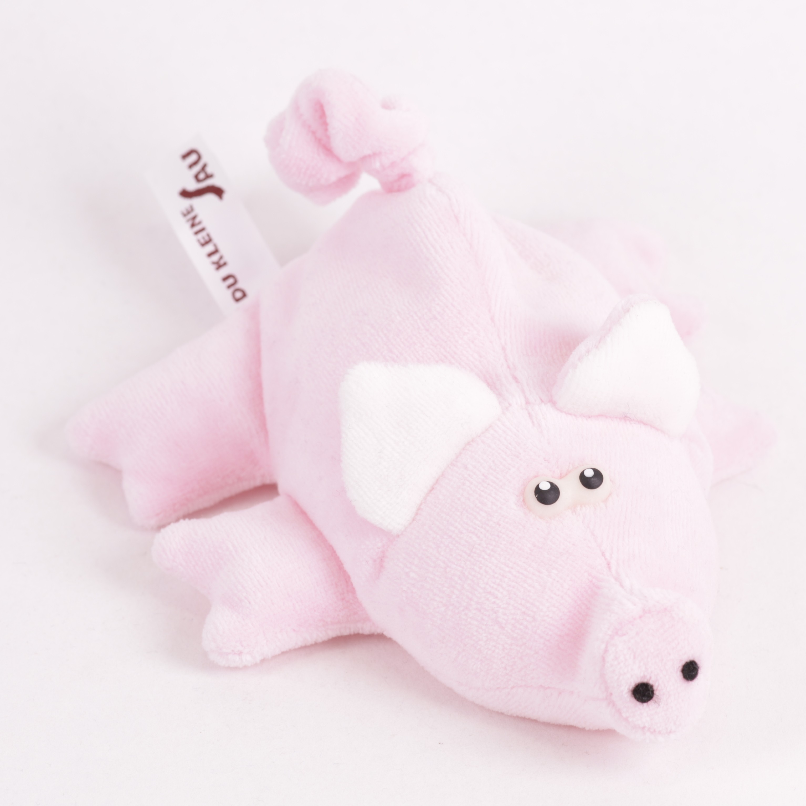 Schwein groß