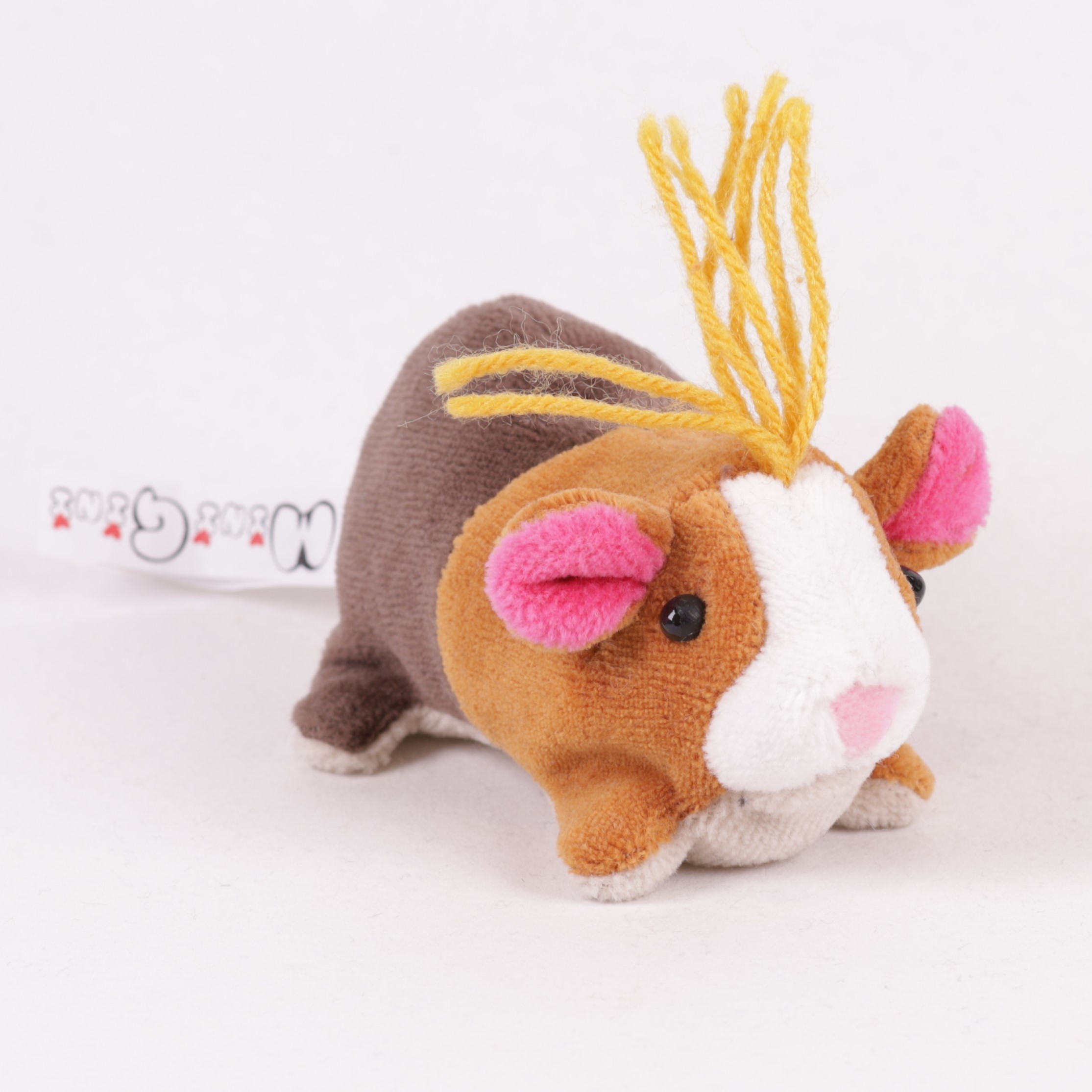 Meerschweinchen Jungtier