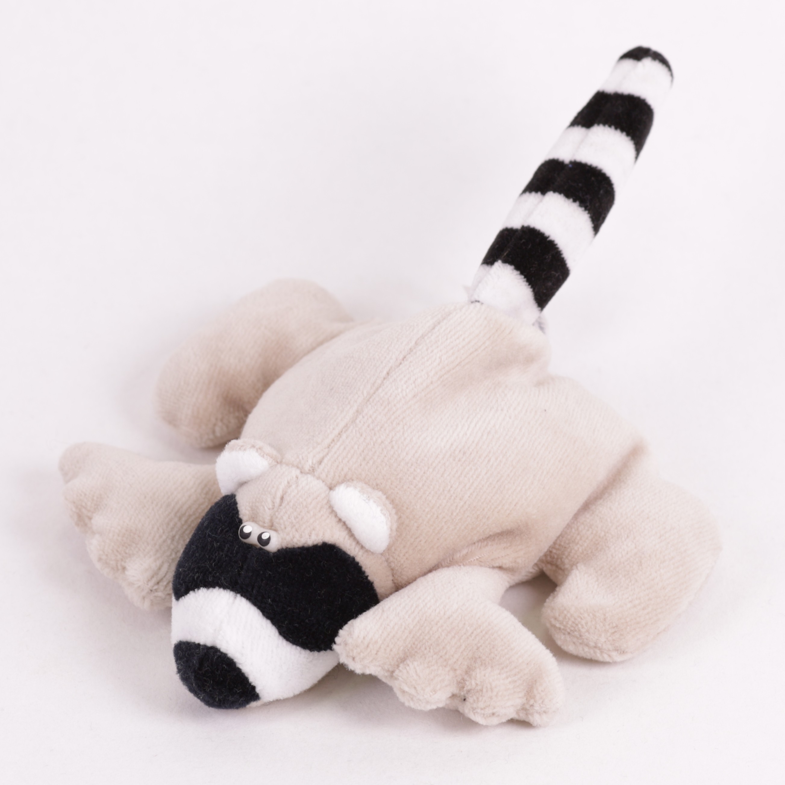 Waschbär Heinz