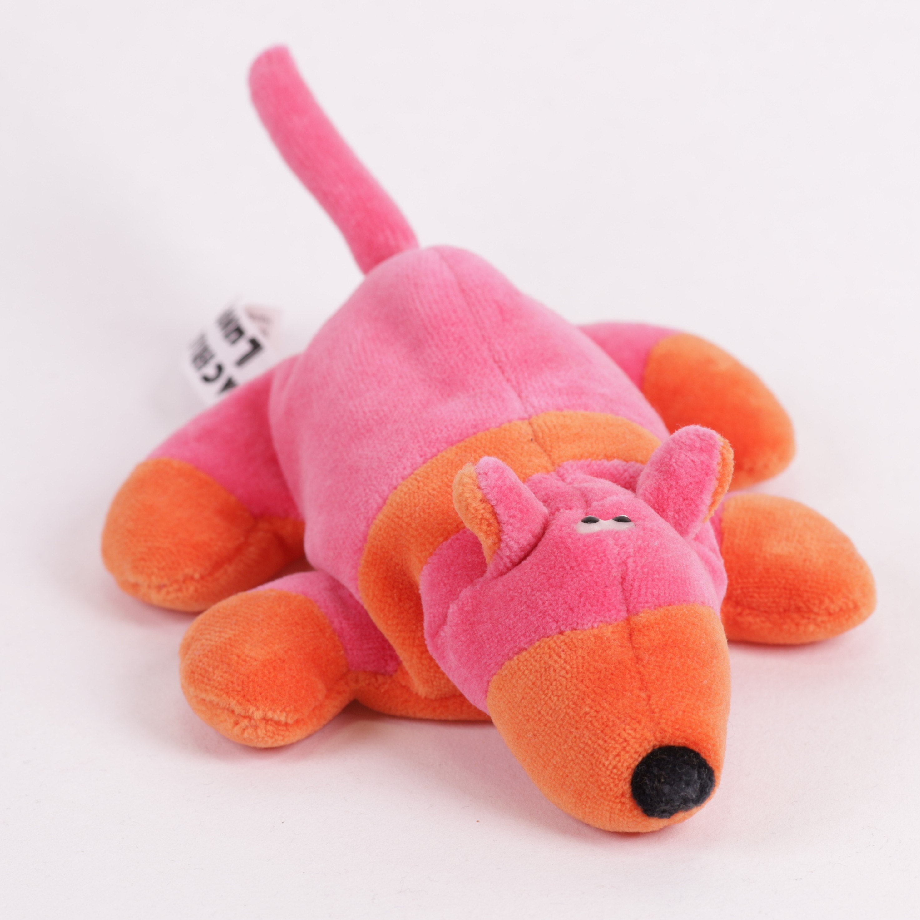 Bullterrier