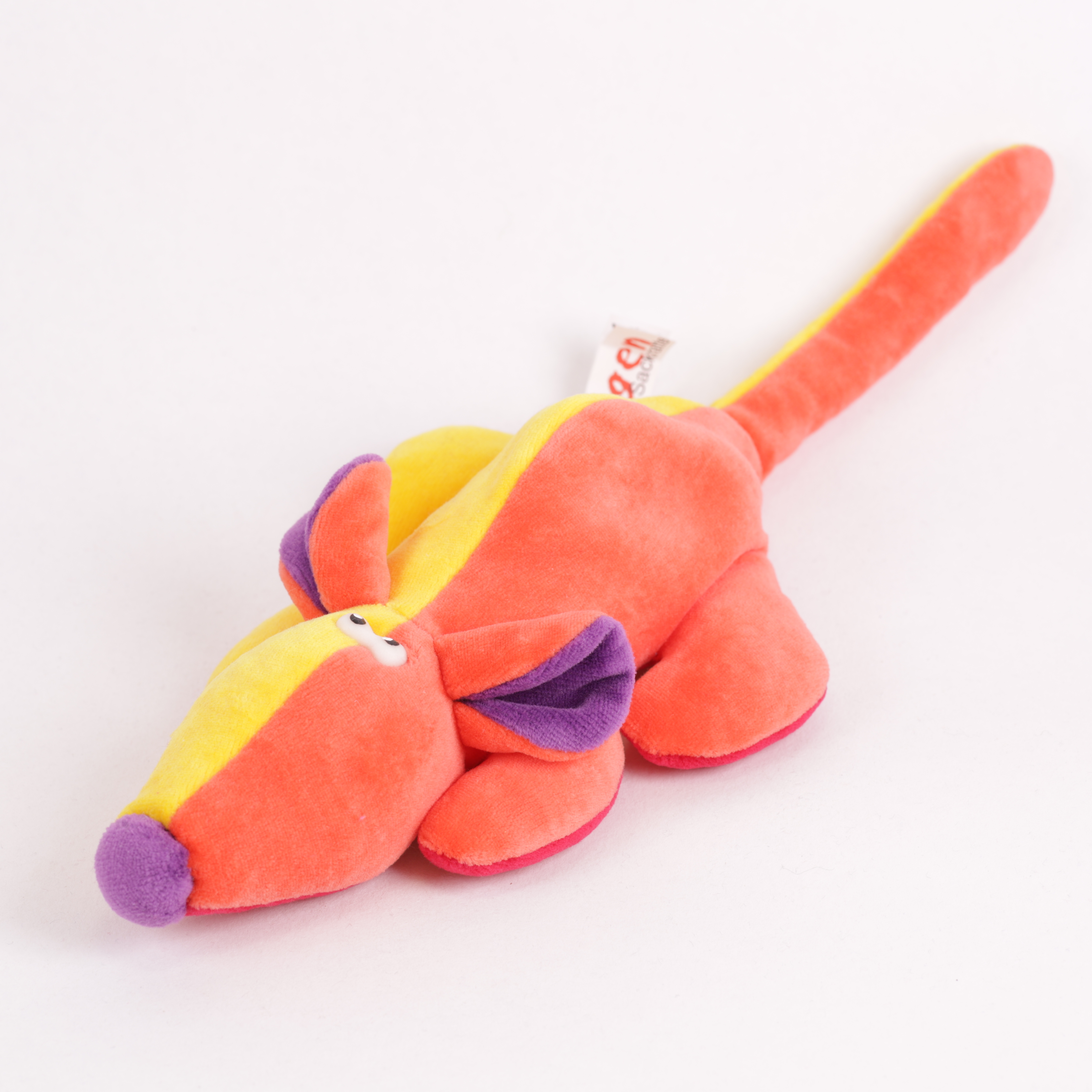 Ratte Regenbogen-Edition