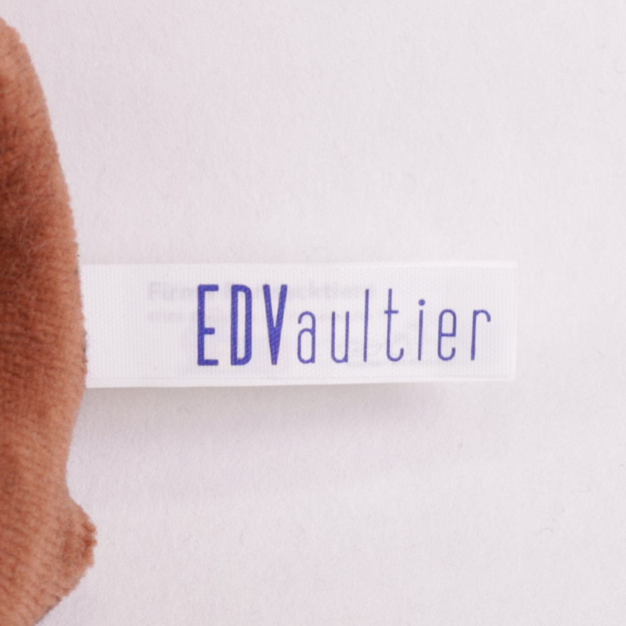 Faultier Jungtier EDVaultier