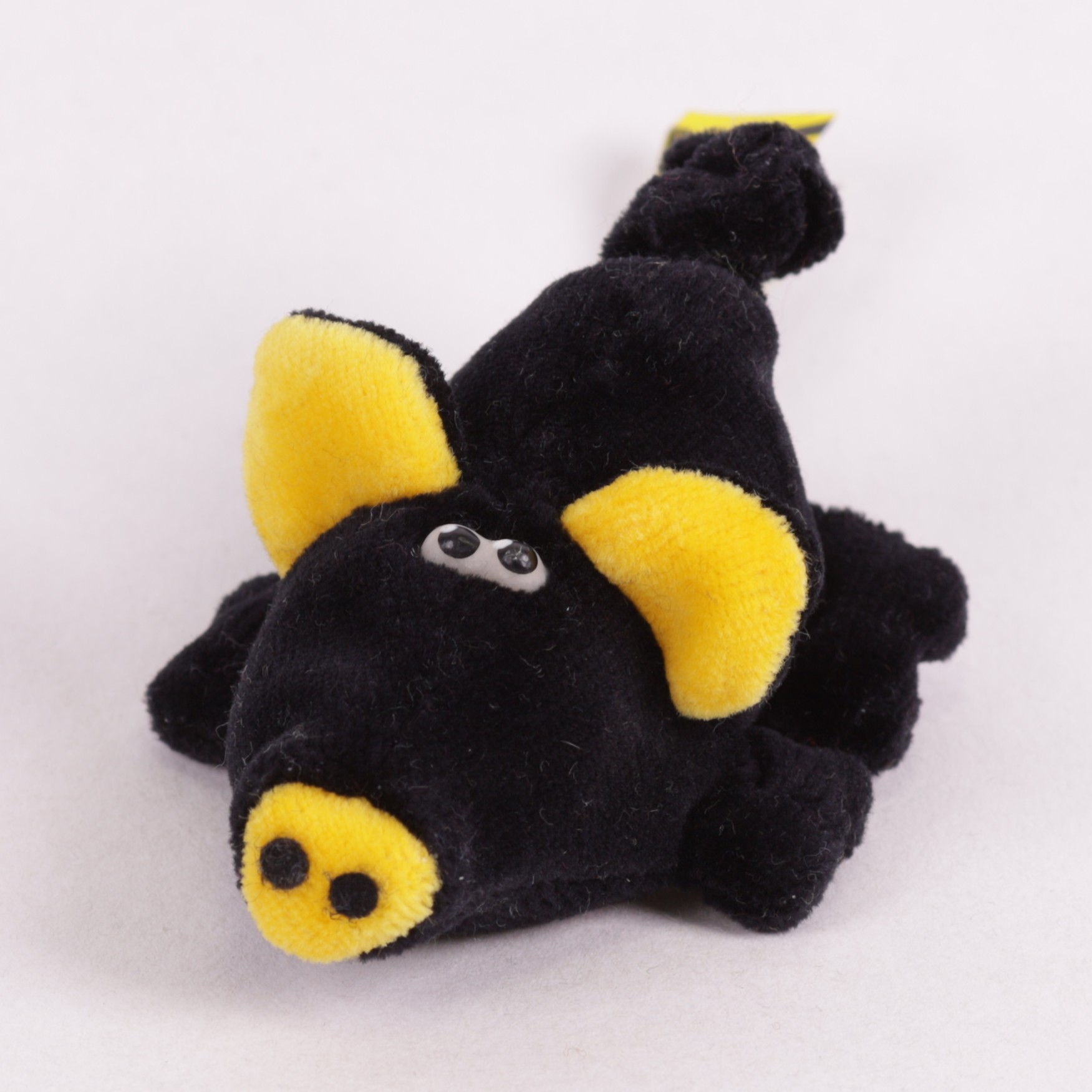 Schwein mini