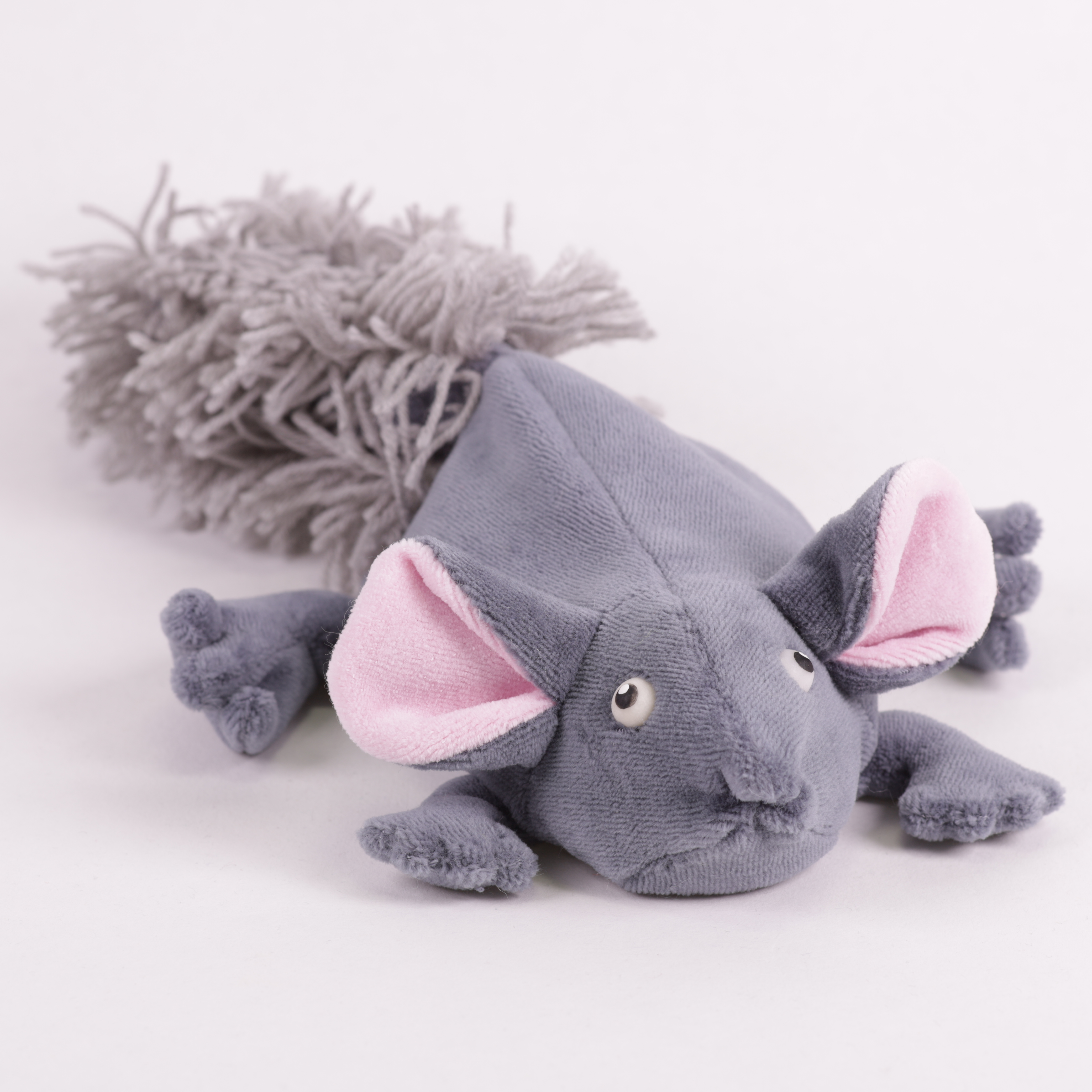 Chinchilla