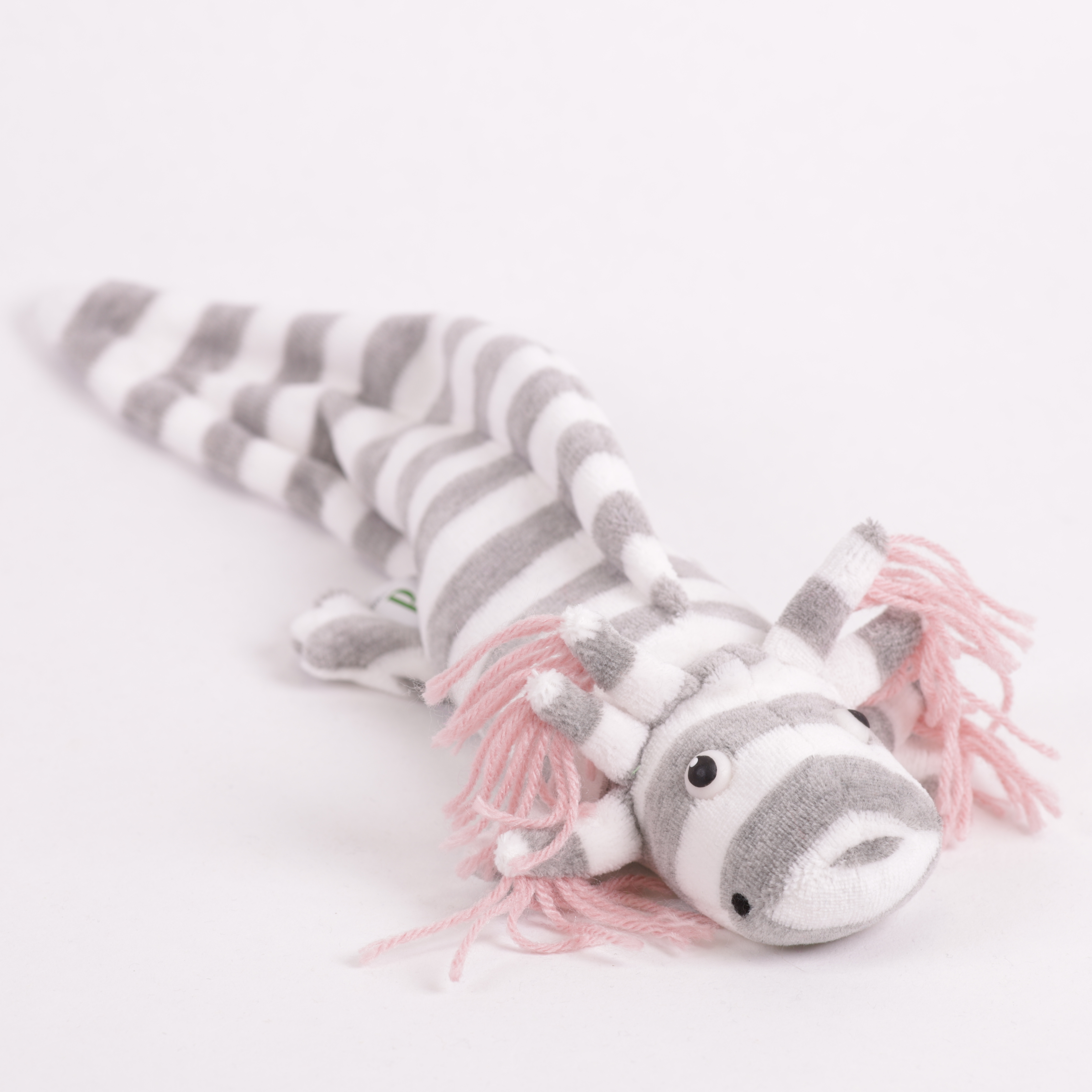 Axolotl