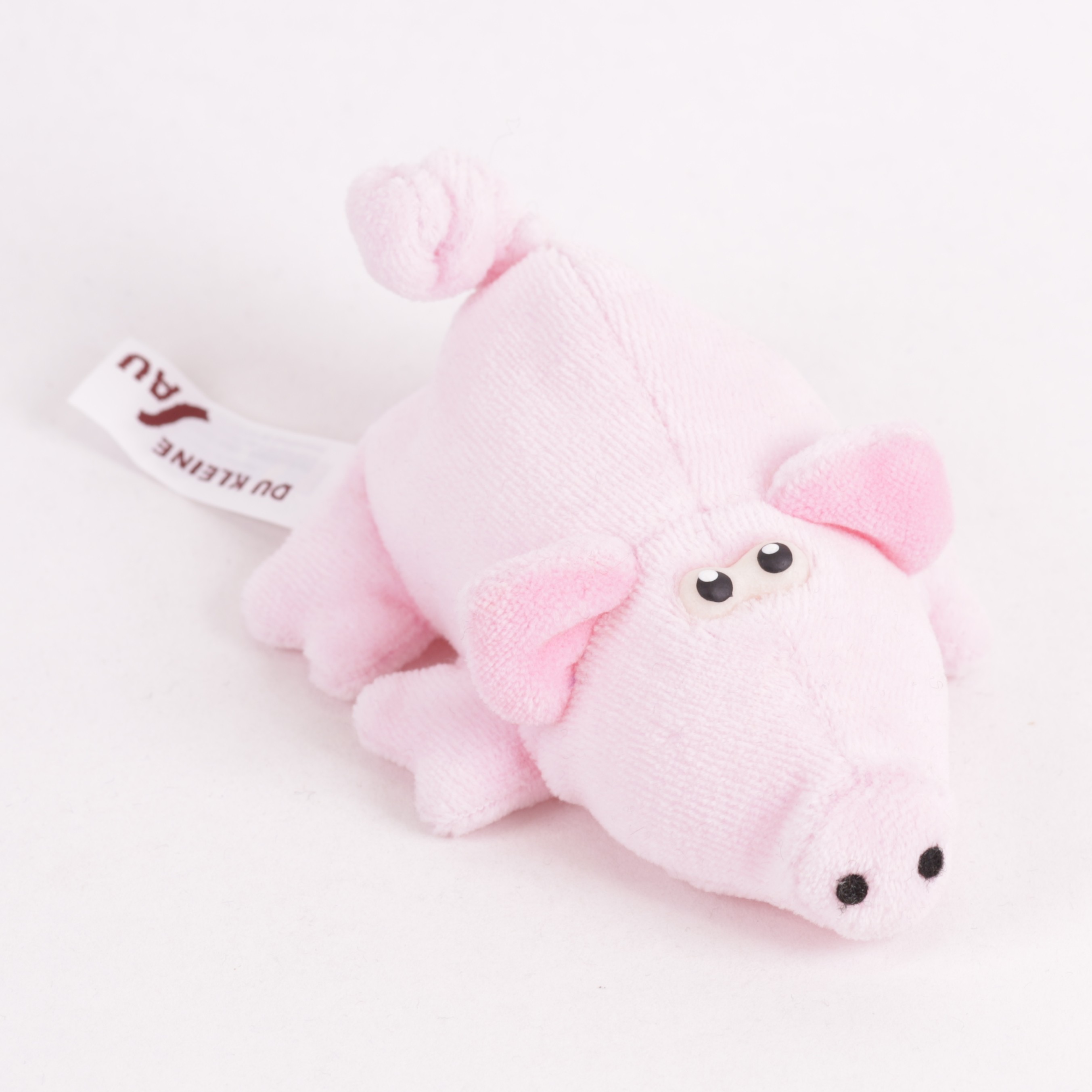 Schwein Jungtier