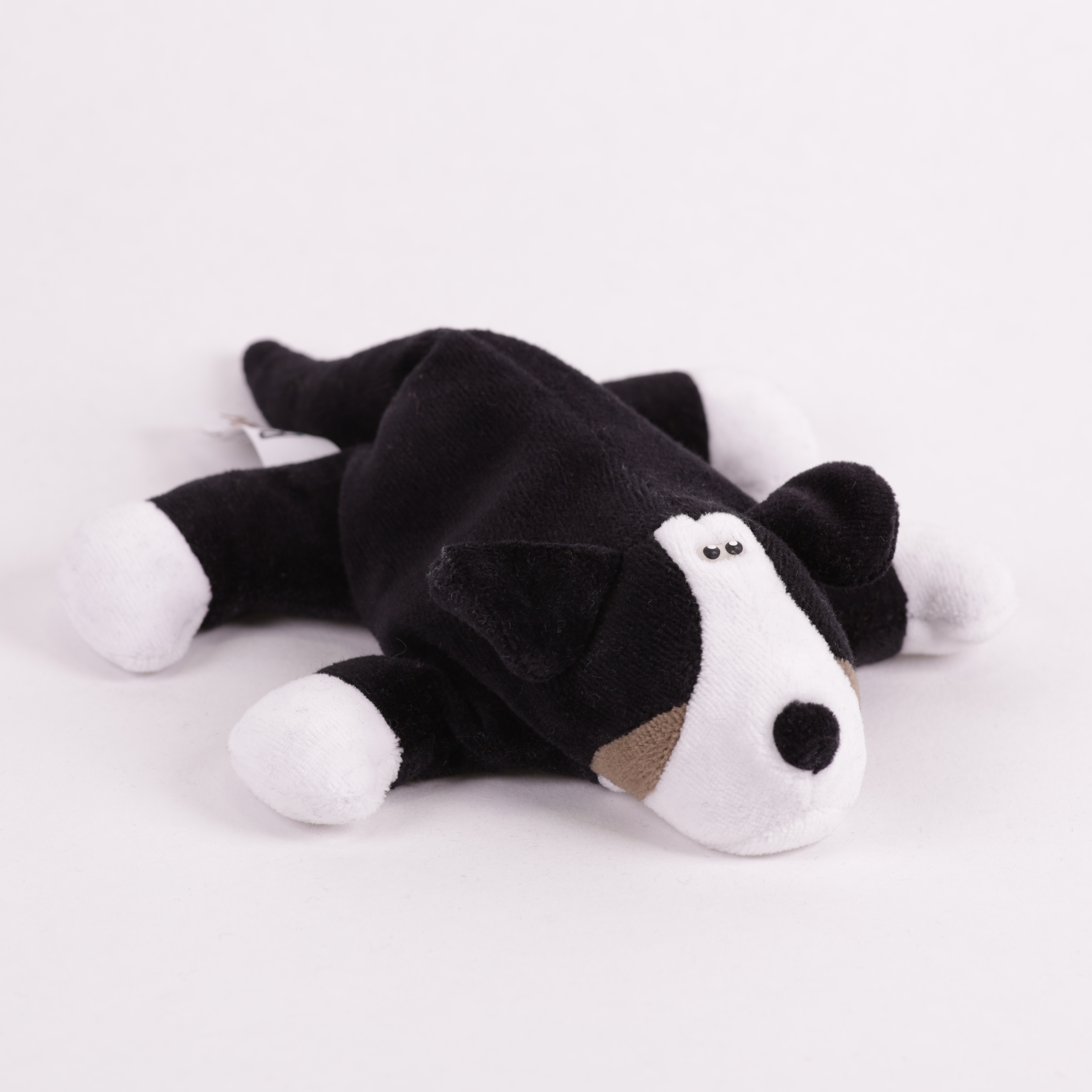Berner Sennenhund