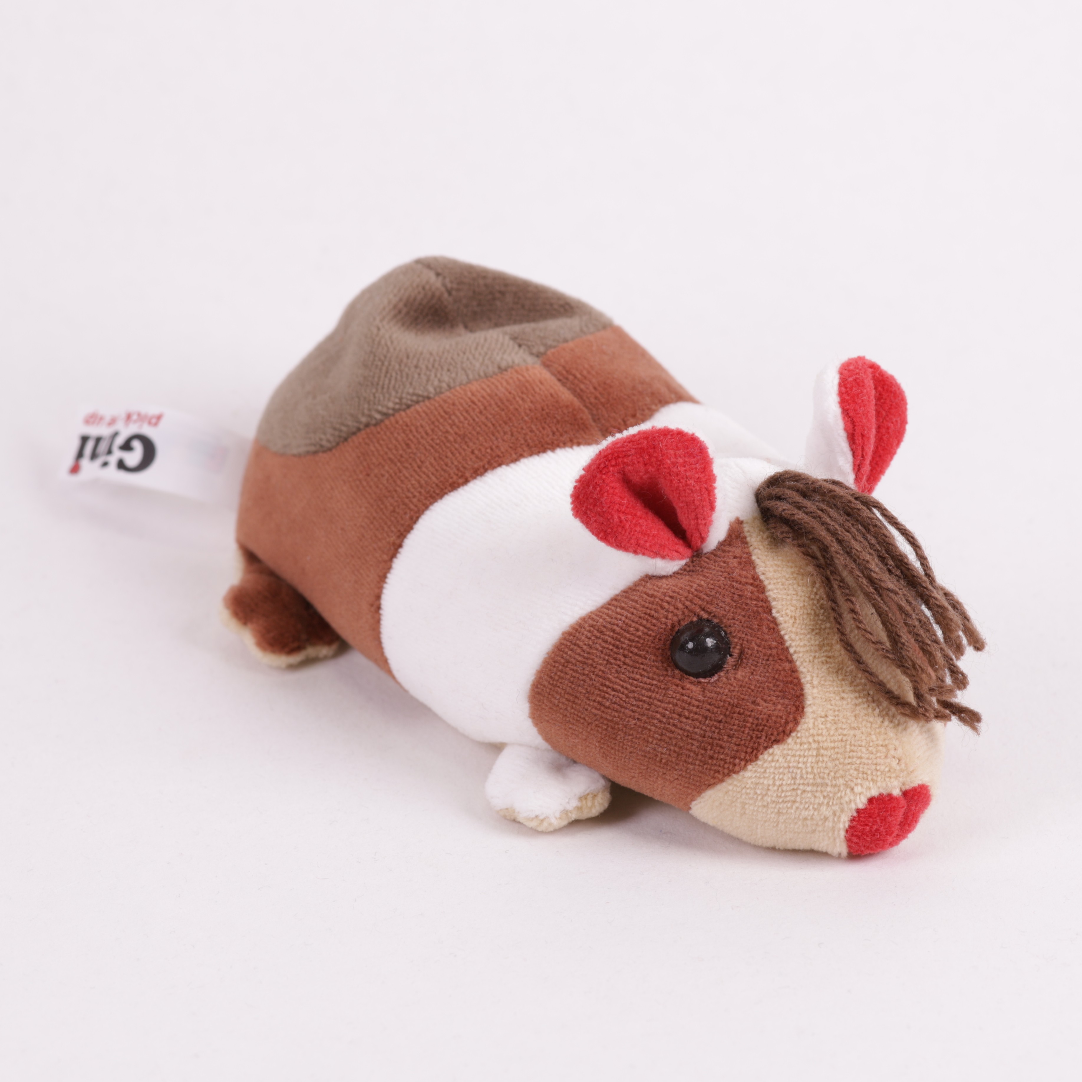 Meerschweinchen