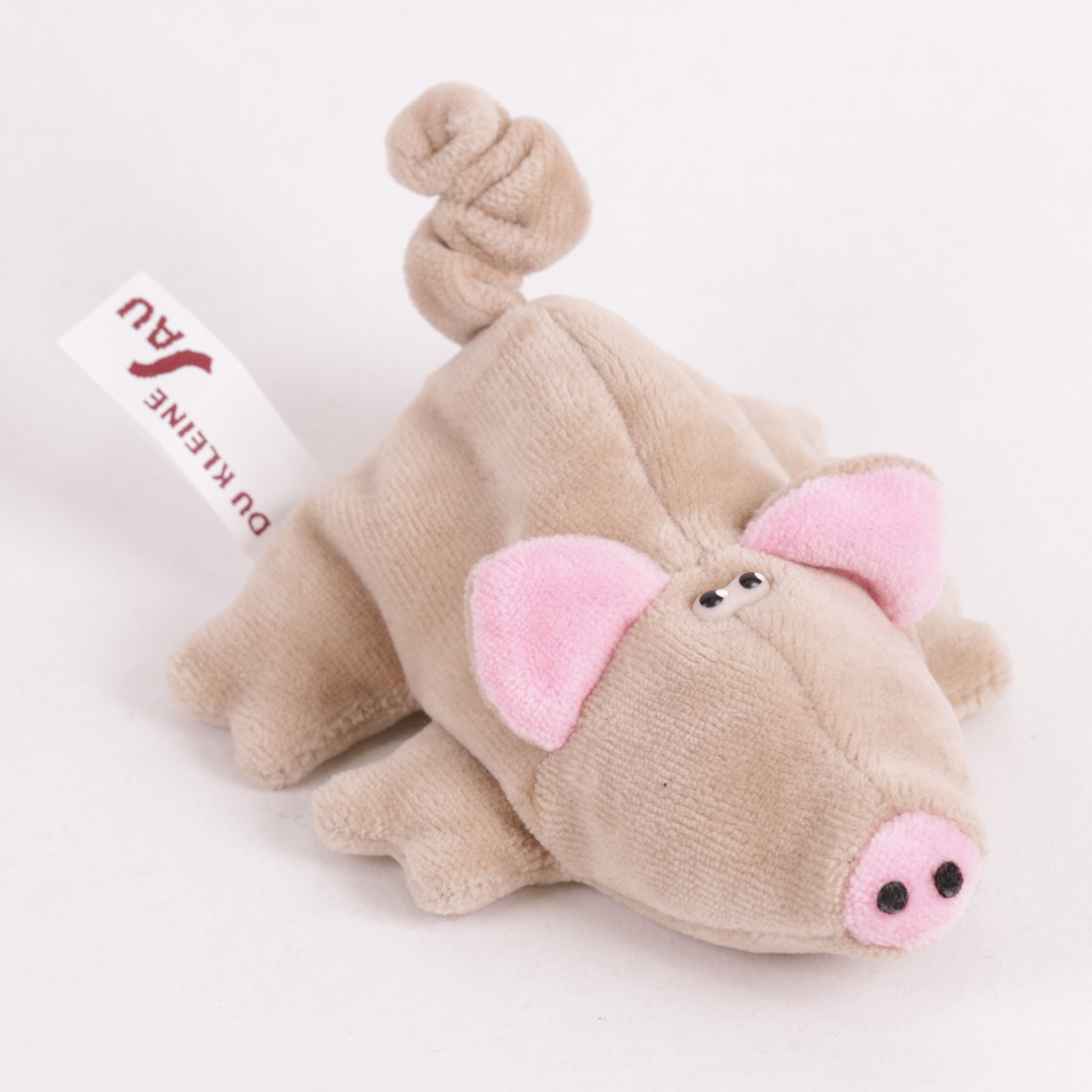 Schwein Jungtier