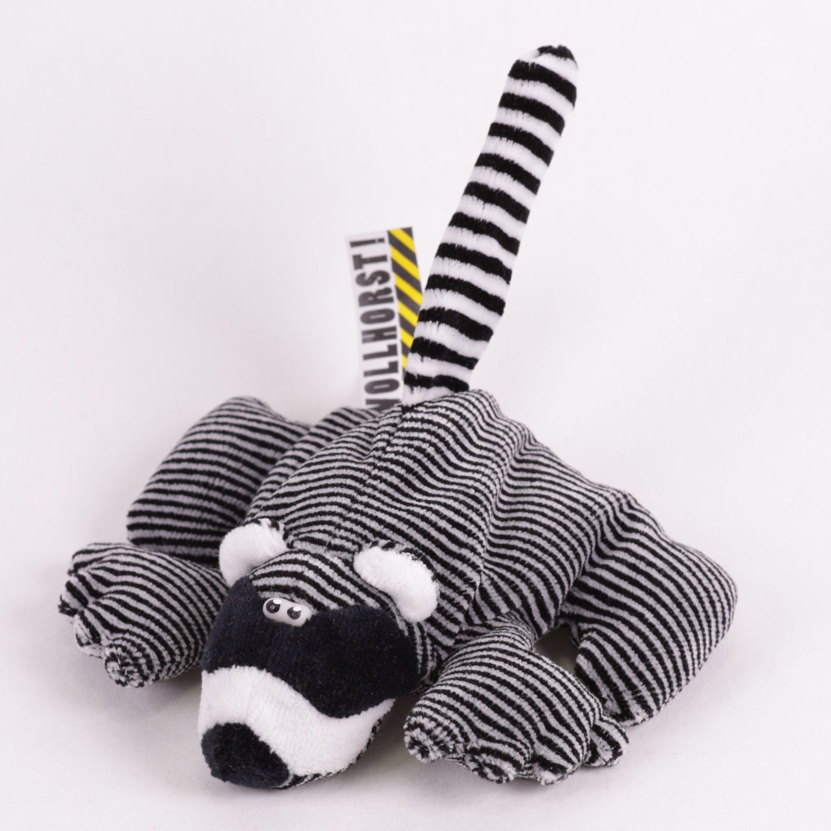 Waschbär Vollhorst