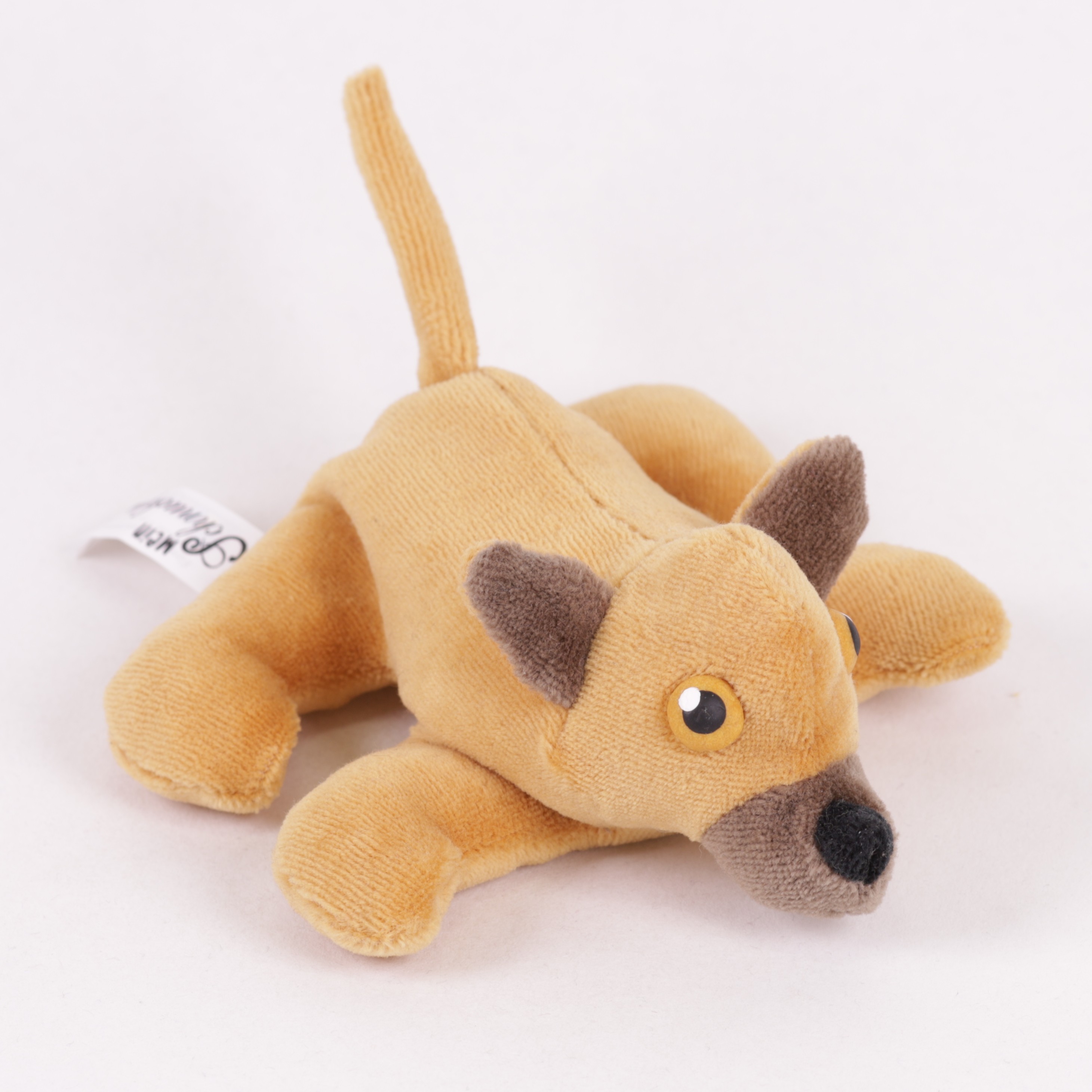 Chihuahua