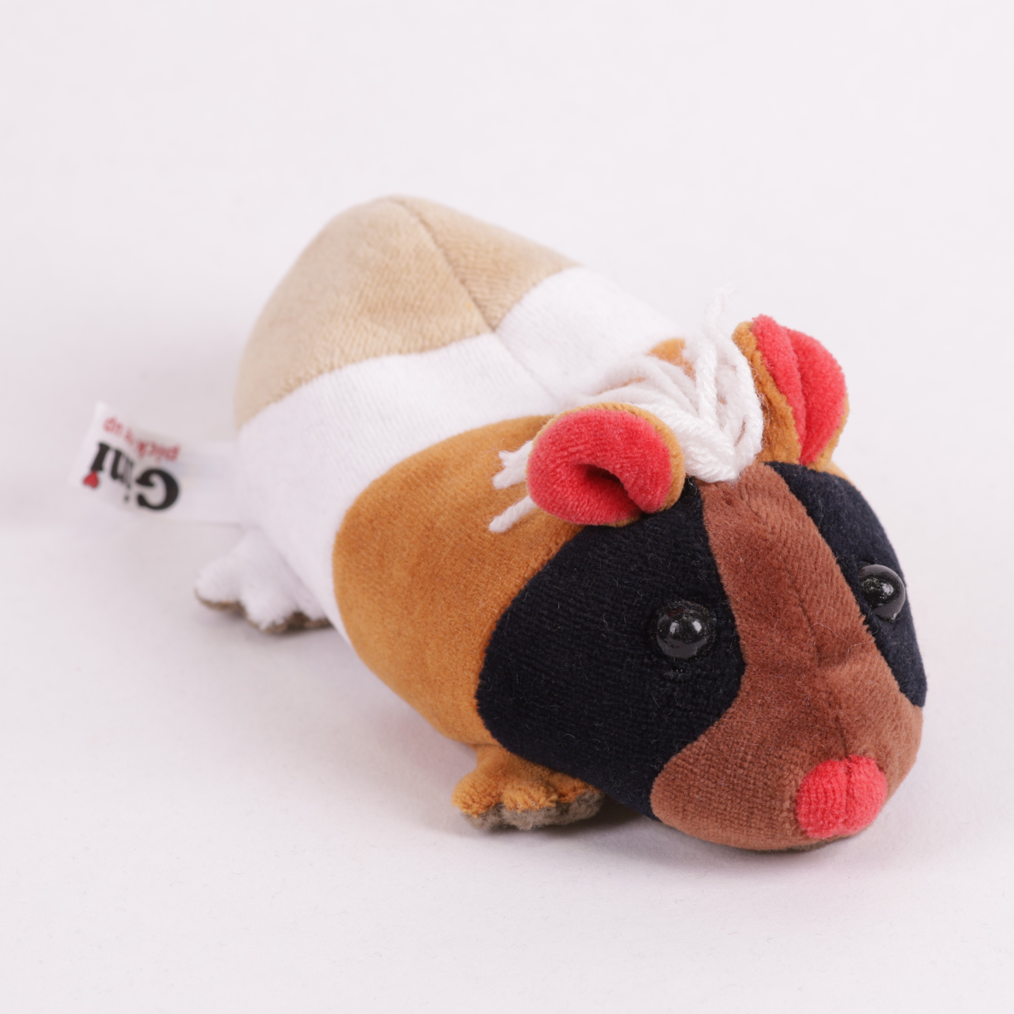 Meerschweinchen