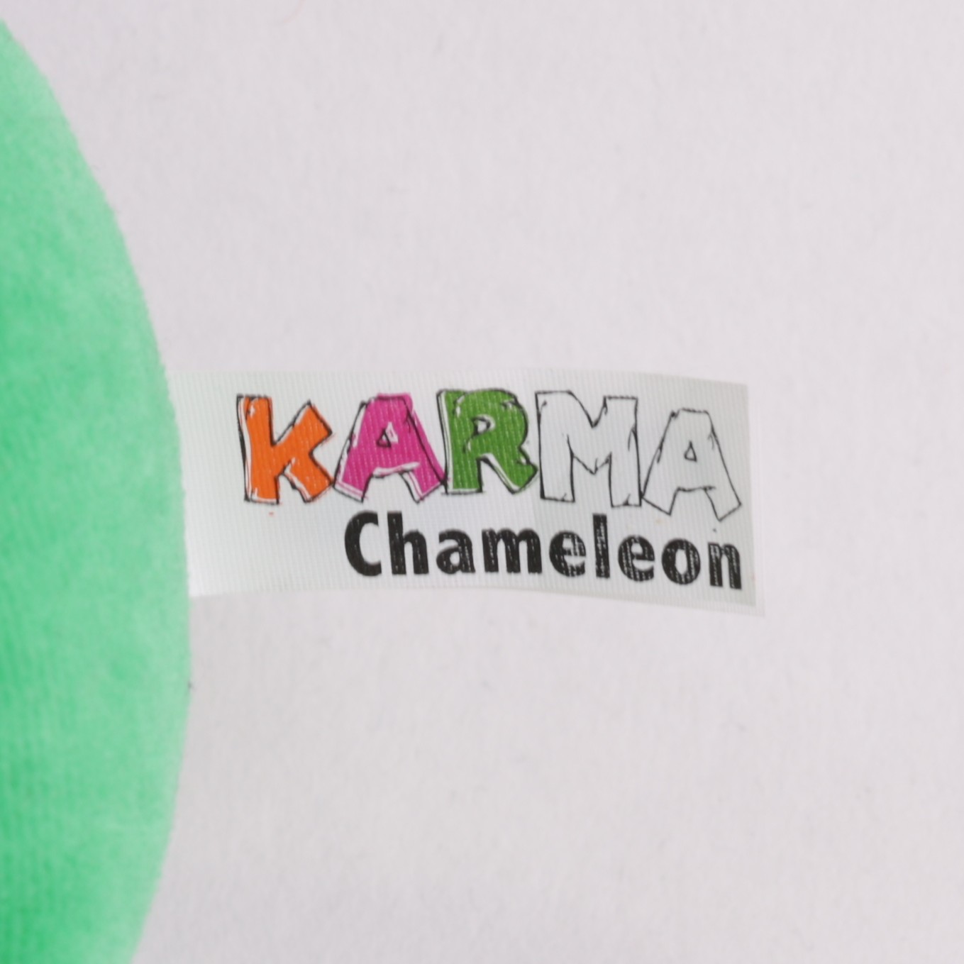 Chamäleon
