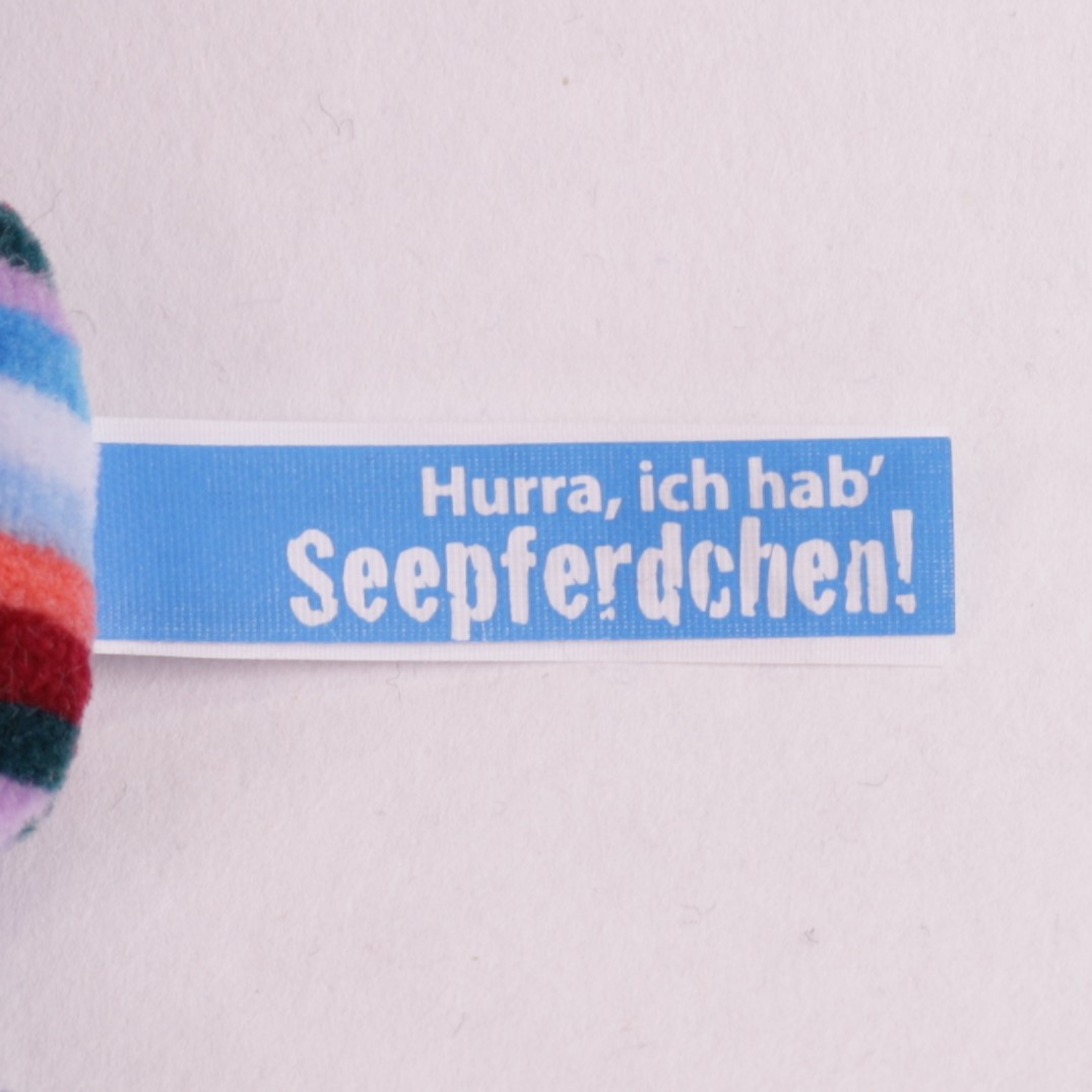Seepferdchen Single