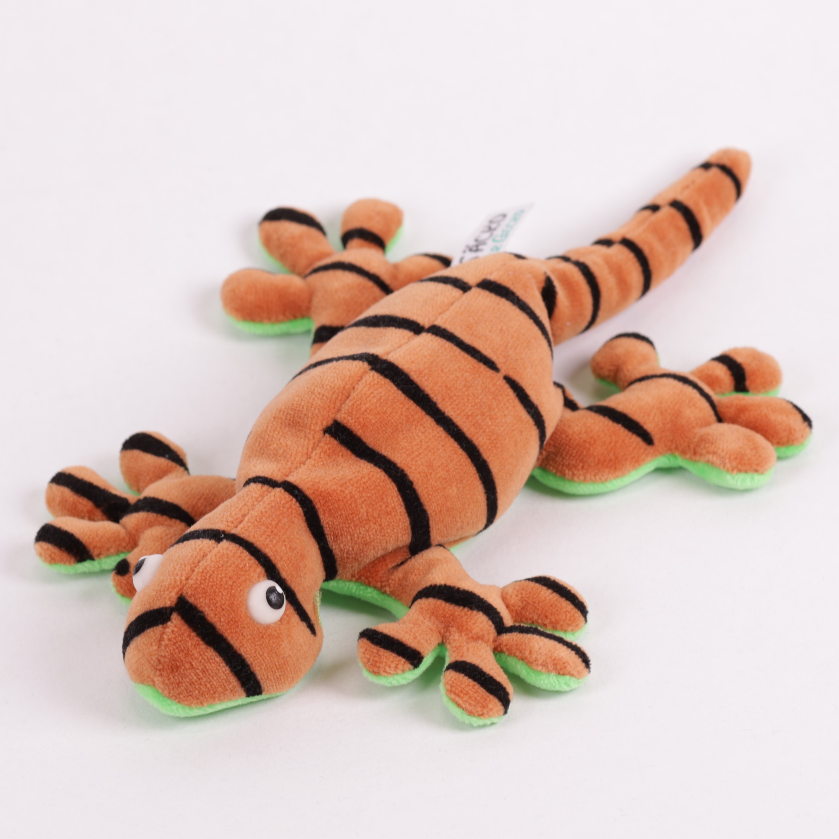 Gecko