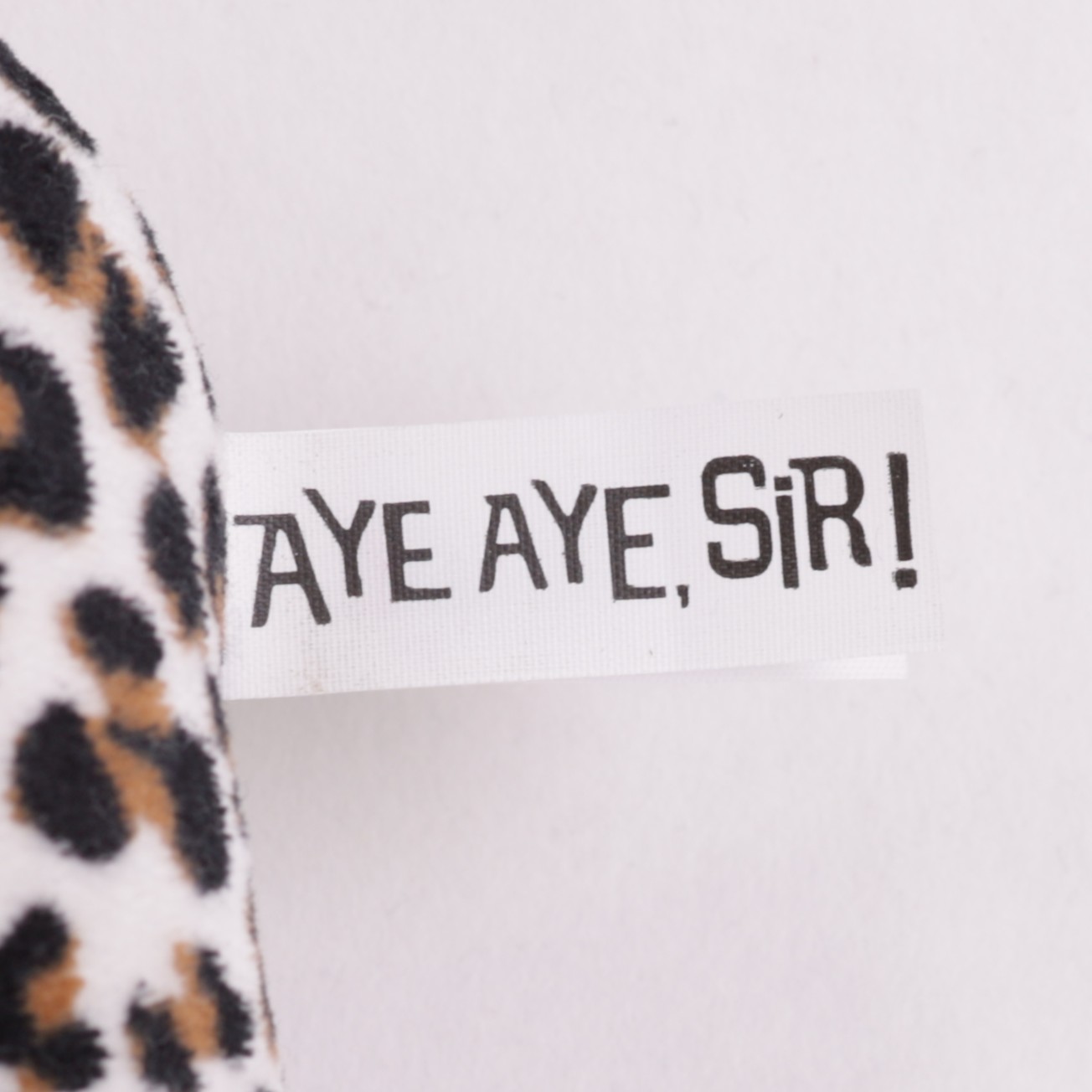Aye-Aye