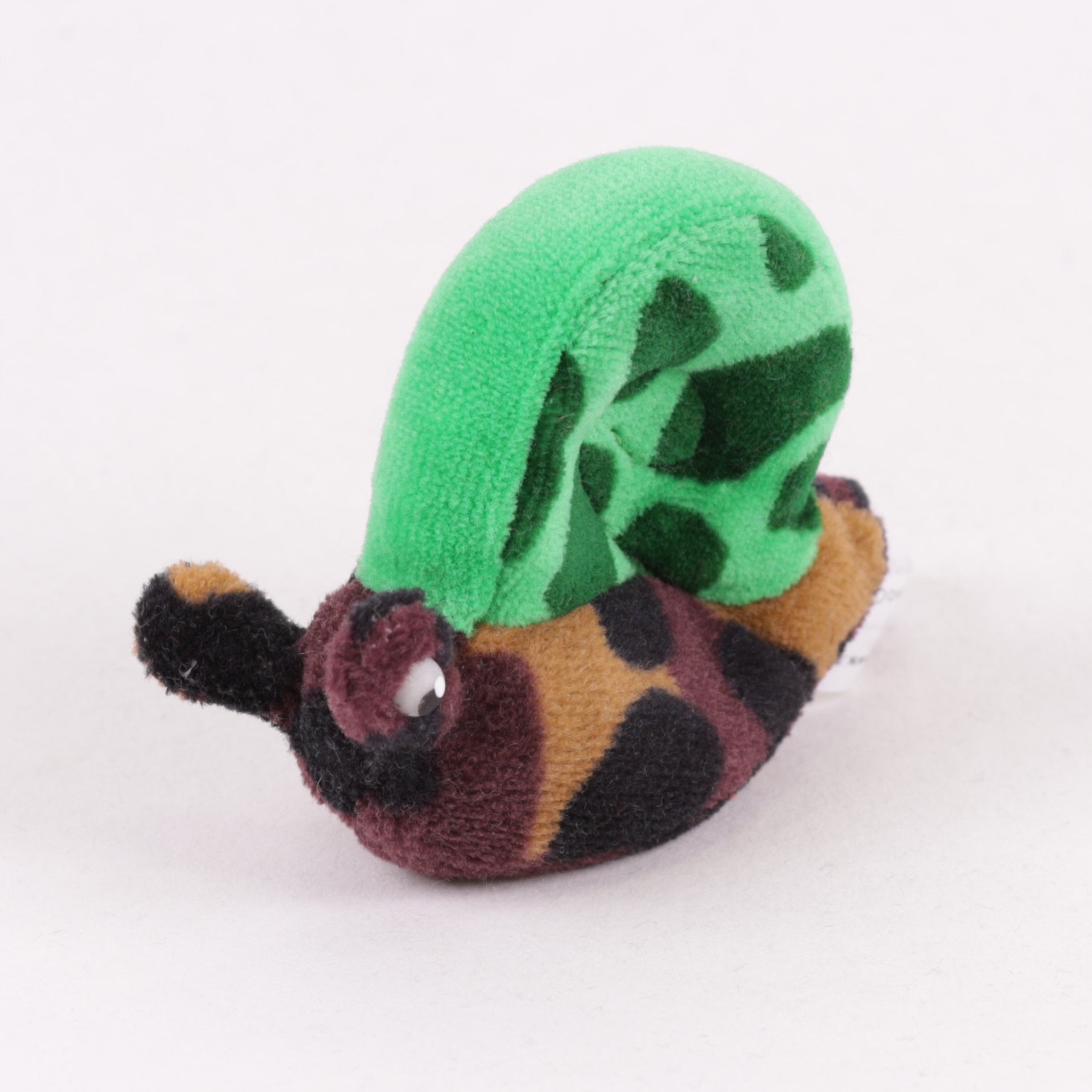Schnecke Jungtier
