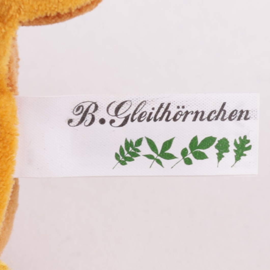 Gleithörnchen