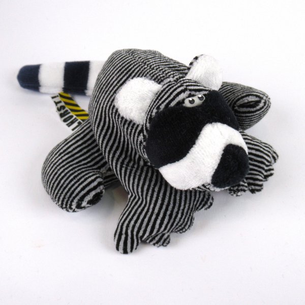 Waschbär Vollhorst