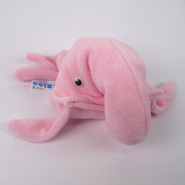 Sack des Monats Dezember - Blobfisch