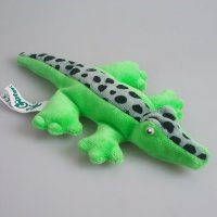 Krokodil Jungtier Krokodil Jungtier