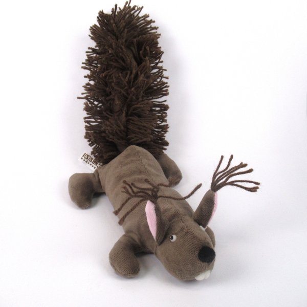 Eichhörnchen Lass knacken, Magnus!