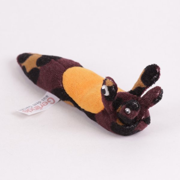 Nacktschnecke