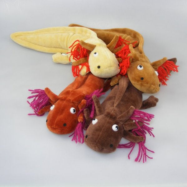 Axolotl - Atze Theke