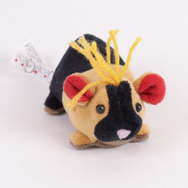 Meerschweinchen Jungtier